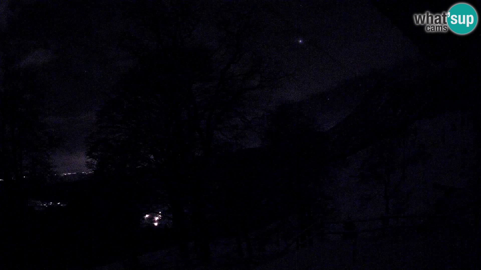 Baita di montagna Planina Razor webcam (1315) | vista su Tolminski Migovec