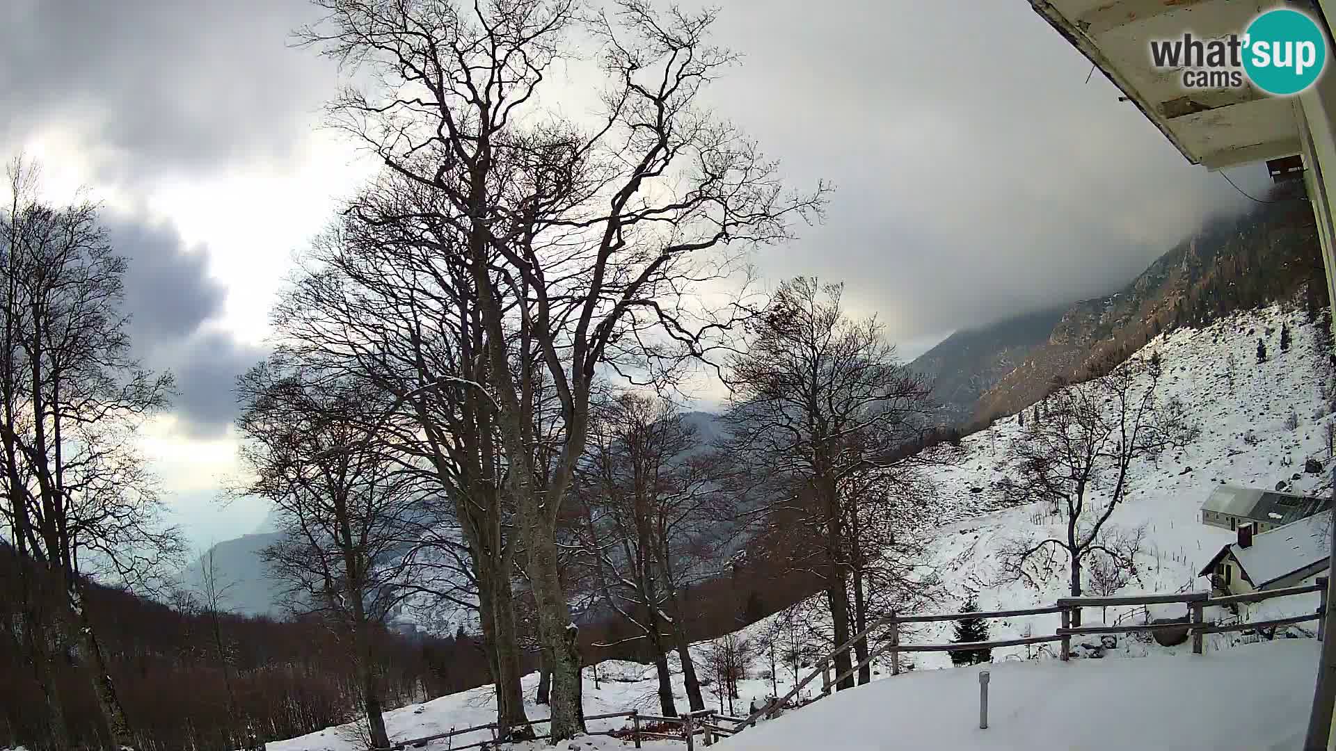 Planina Razor Bergütte Webcam (1315) | Blick auf Tolminski Migovec
