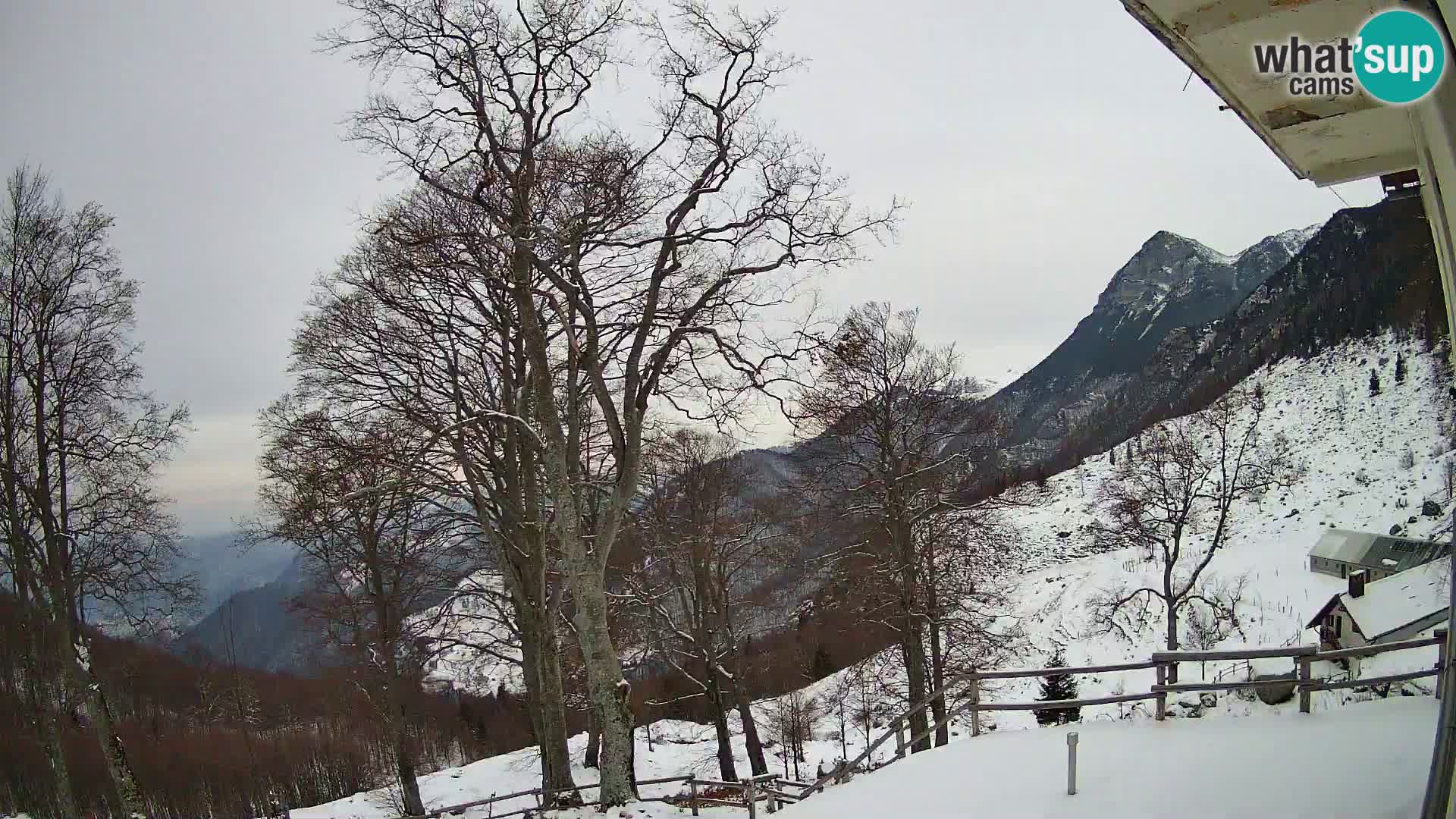 Baita di montagna Planina Razor webcam (1315) | vista su Tolminski Migovec