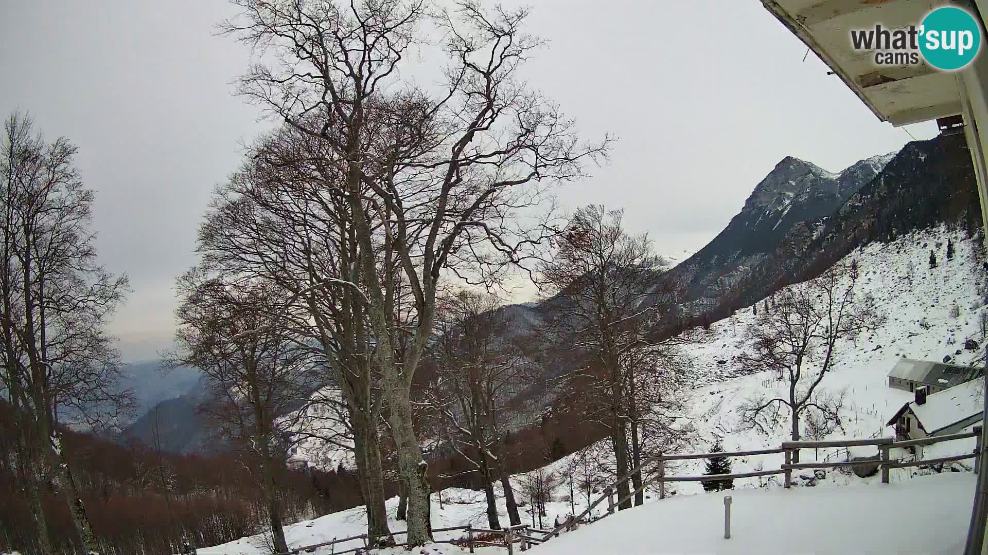 Refuge de la montagne Planina Razor caméra en direct (1315) | vue sur Tolminski Migovec