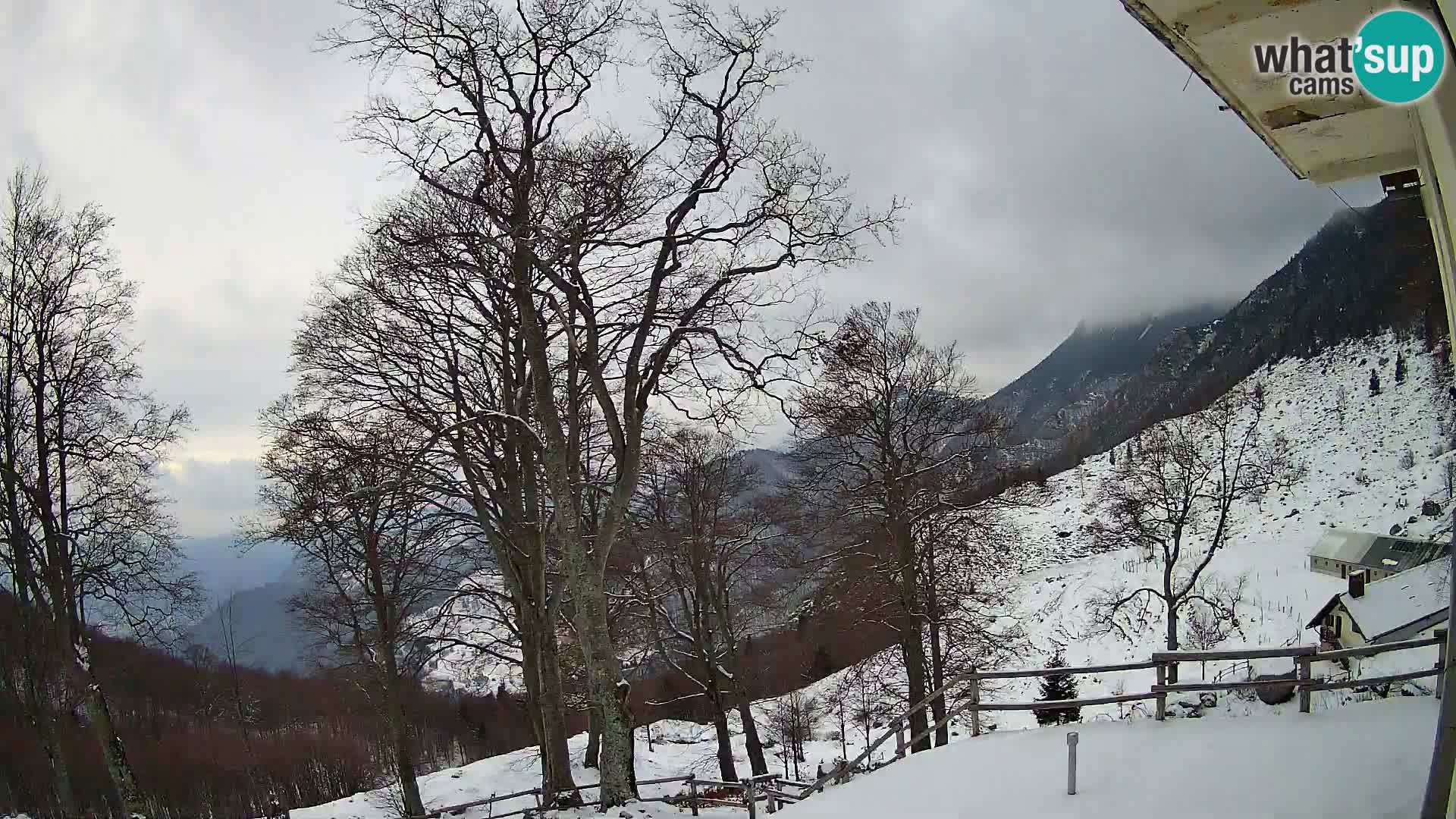 Planina Razor Bergütte Webcam (1315) | Blick auf Tolminski Migovec