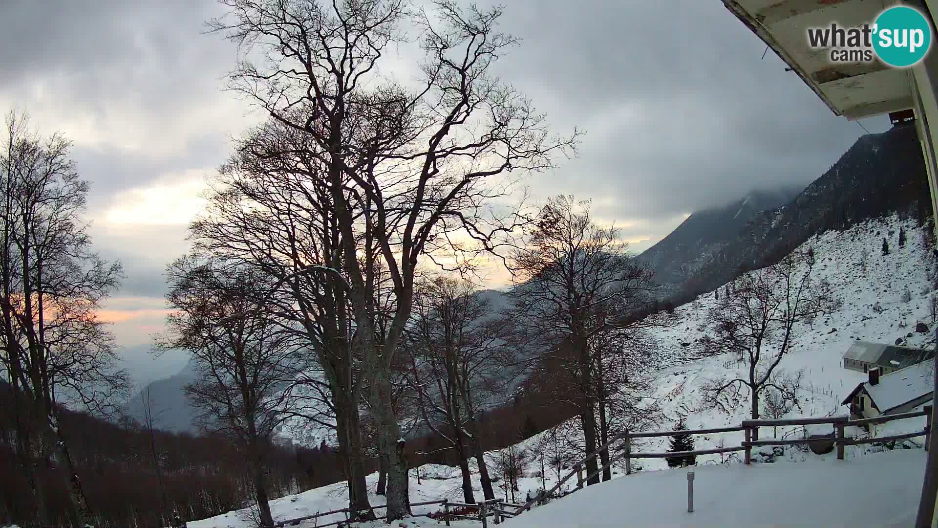 Planina Razor Bergütte Webcam (1315) | Blick auf Tolminski Migovec