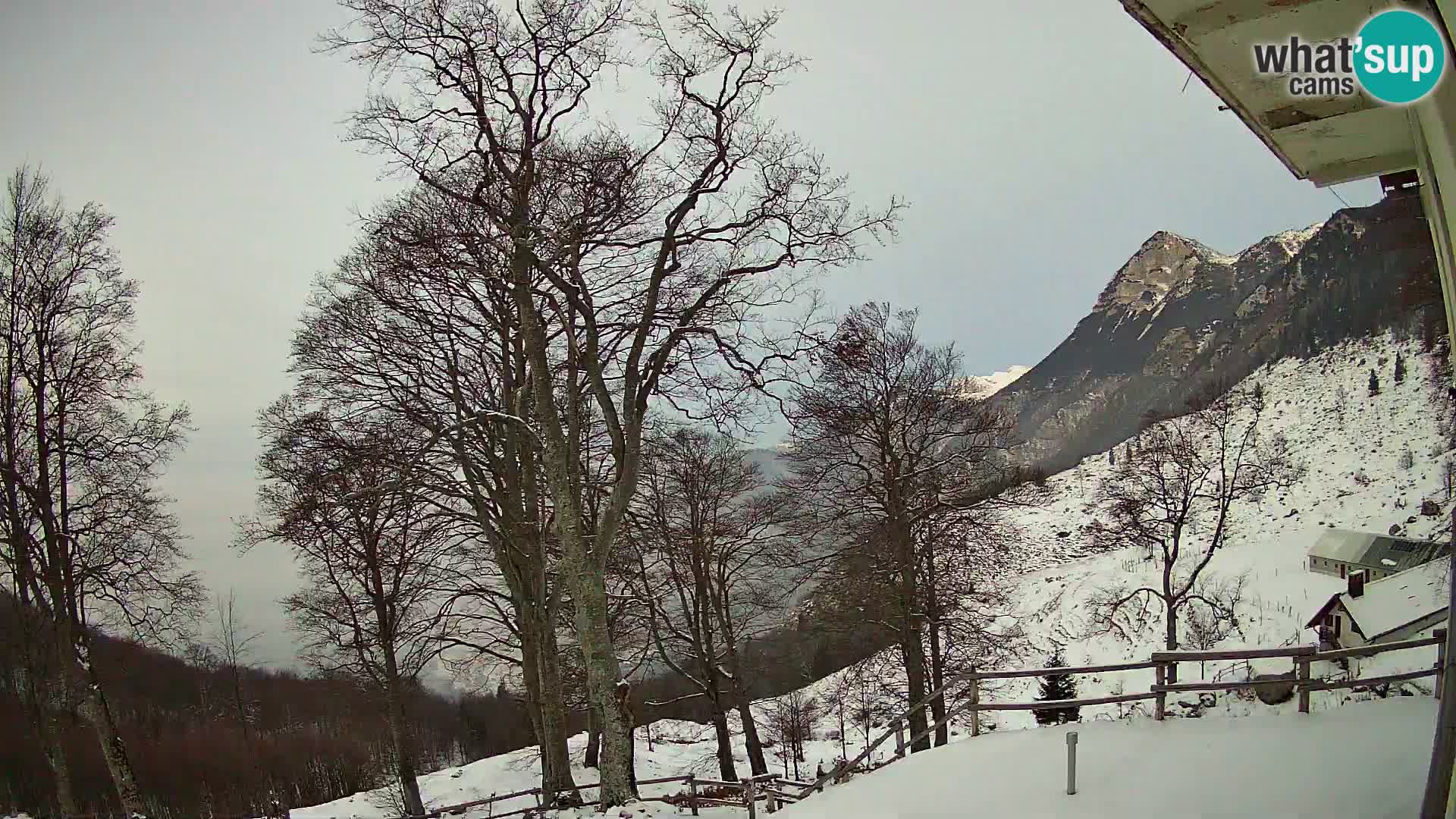 Planina Razor Mountain Hut live cam (1315) | view to Tolminski Migovec