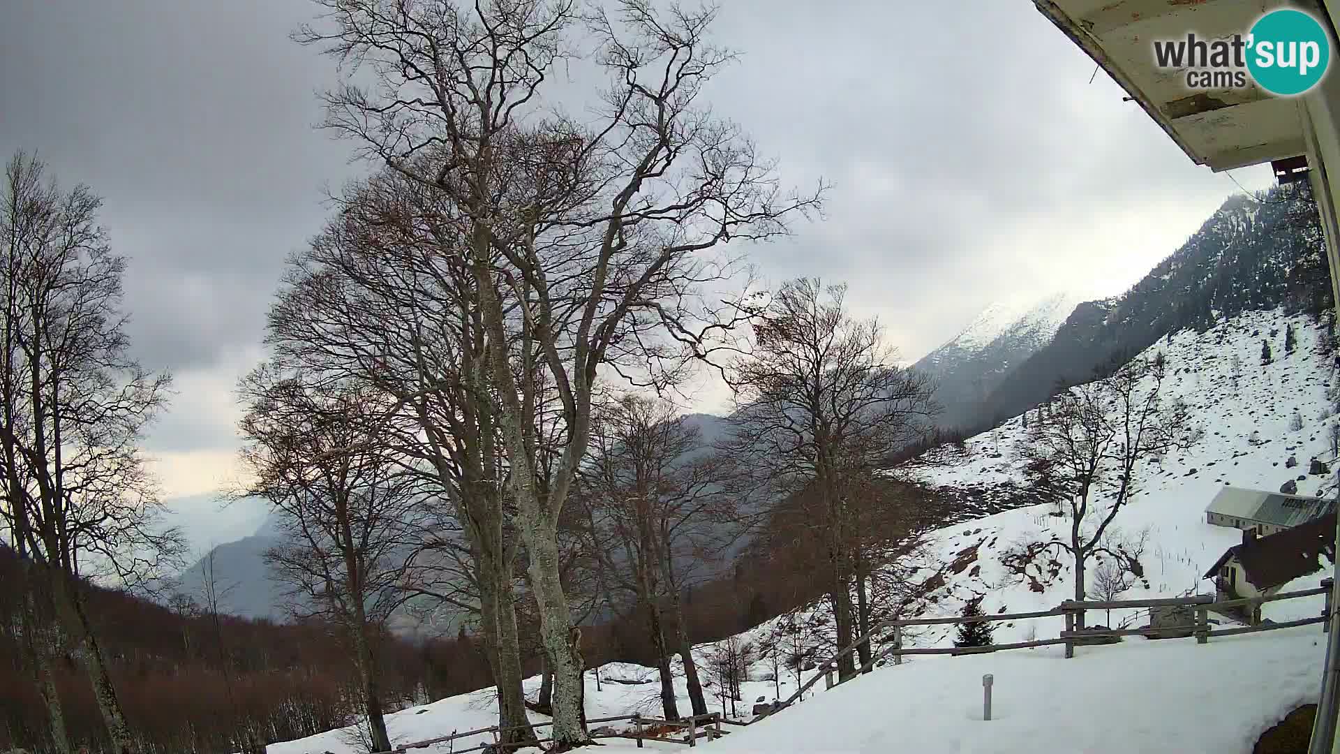 Cámara en vivo de la cabaña de montaña Planina Razor (1315) | vista hacia Tolminski Migovec