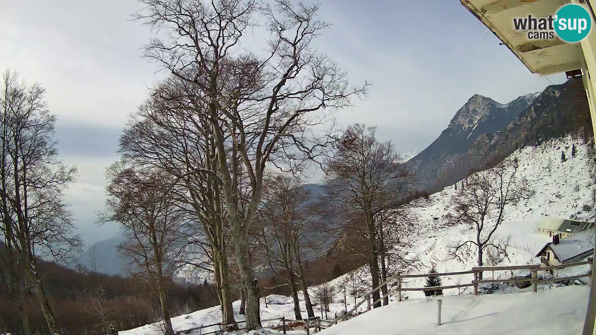 Planina Razor Bergütte Webcam (1315) | Blick auf Tolminski Migovec