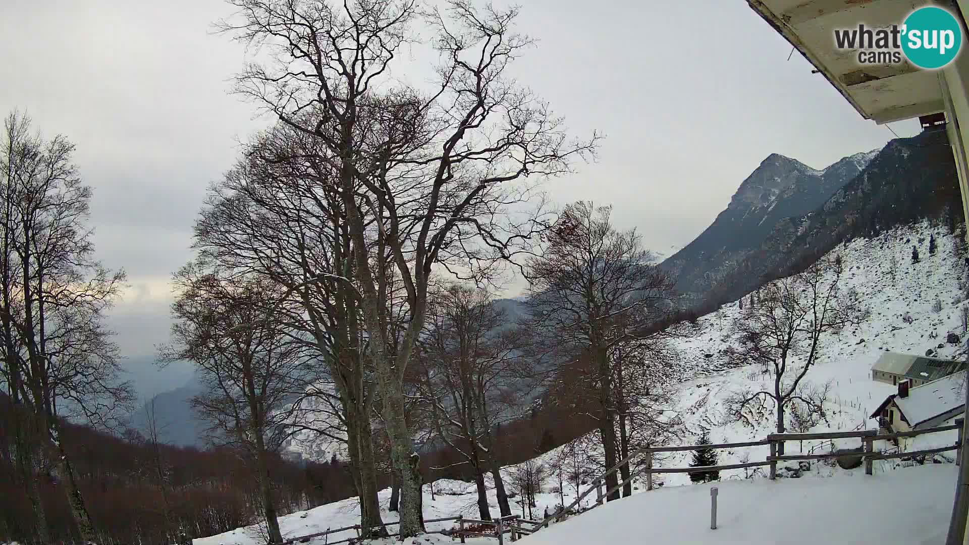 Planina Razor Mountain Hut live cam (1315) | view to Tolminski Migovec