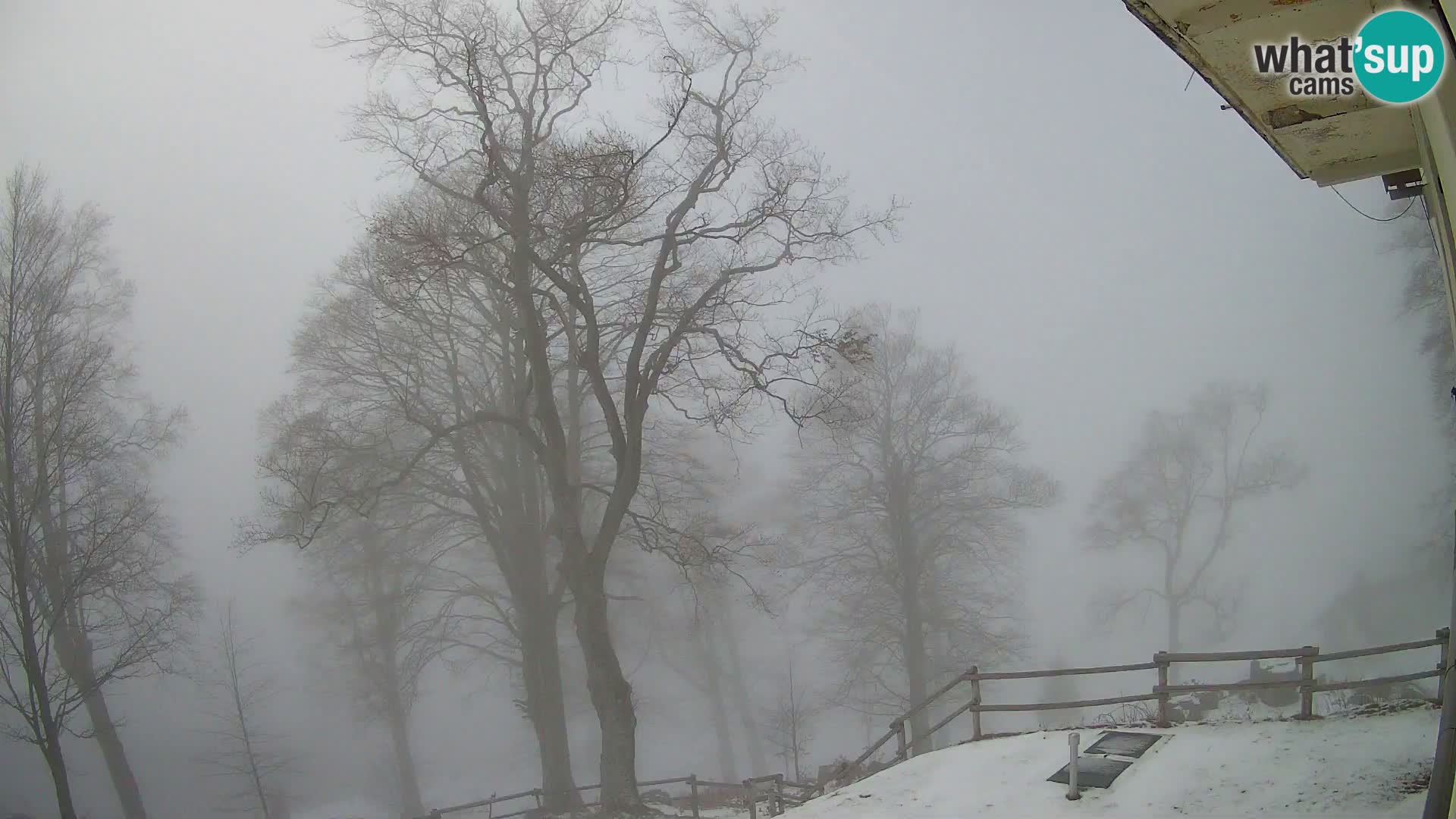 Planinarski dom na planini Razor (1315) | Pogled na Tolminski Migovec