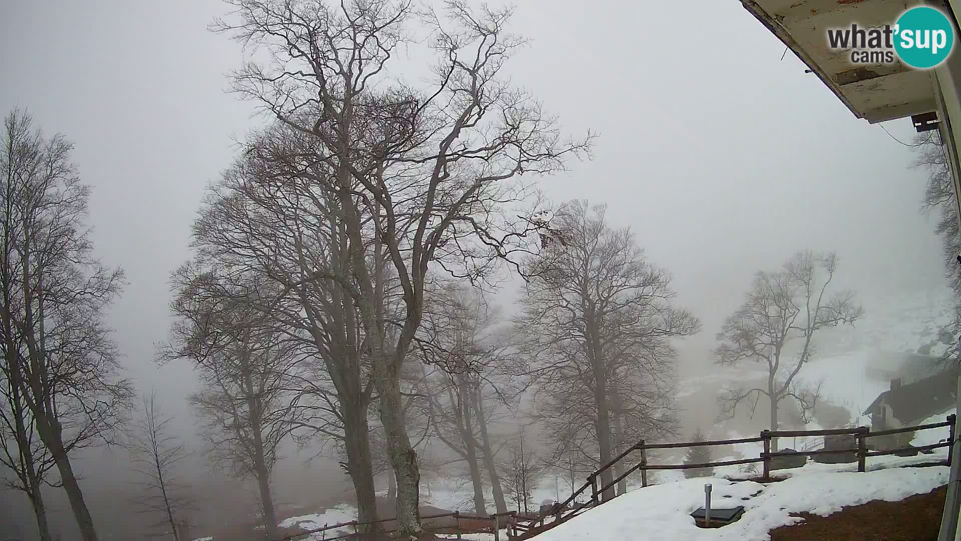 Planina Razor Mountain Hut live cam (1315) | view to Tolminski Migovec