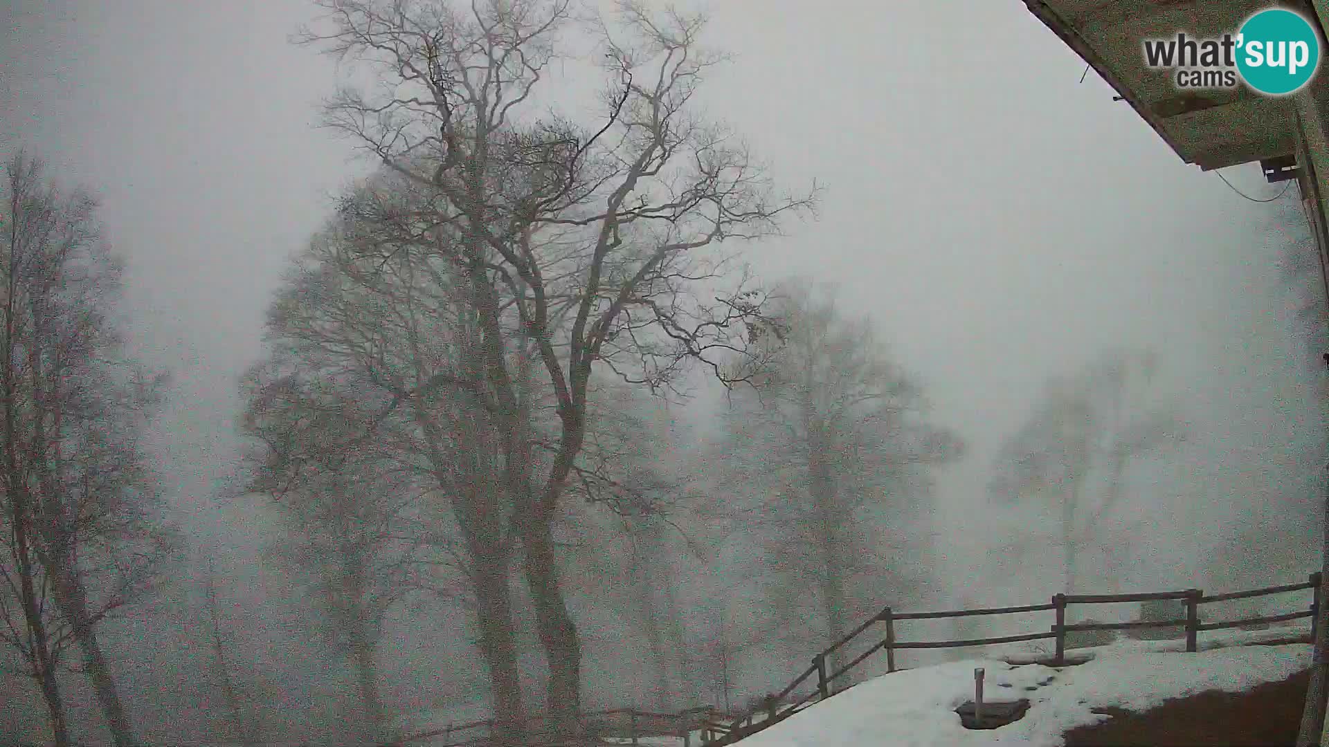 Planina Razor Bergütte Webcam (1315) | Blick auf Tolminski Migovec