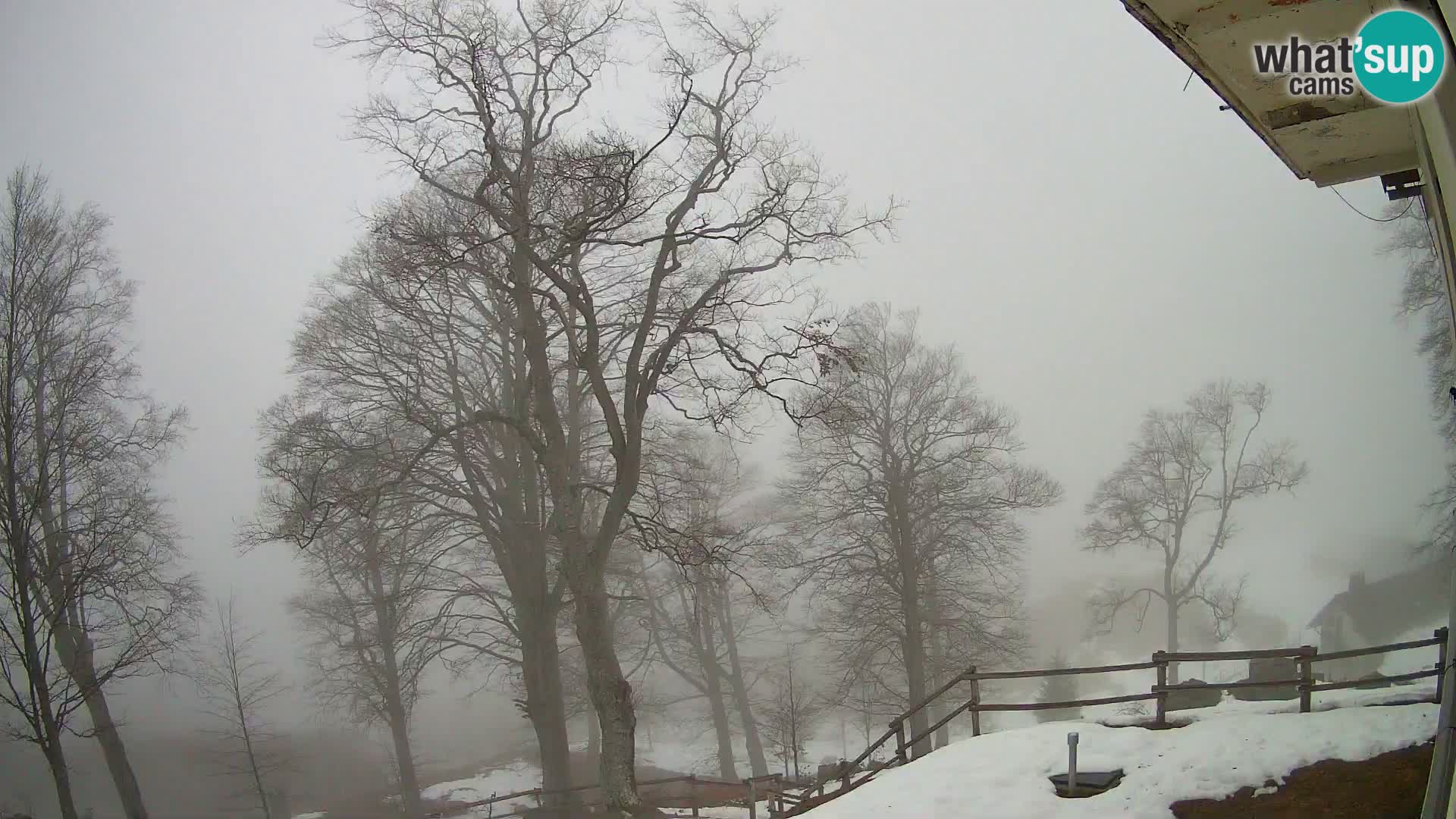 Planina Razor Mountain Hut live cam (1315) | view to Tolminski Migovec