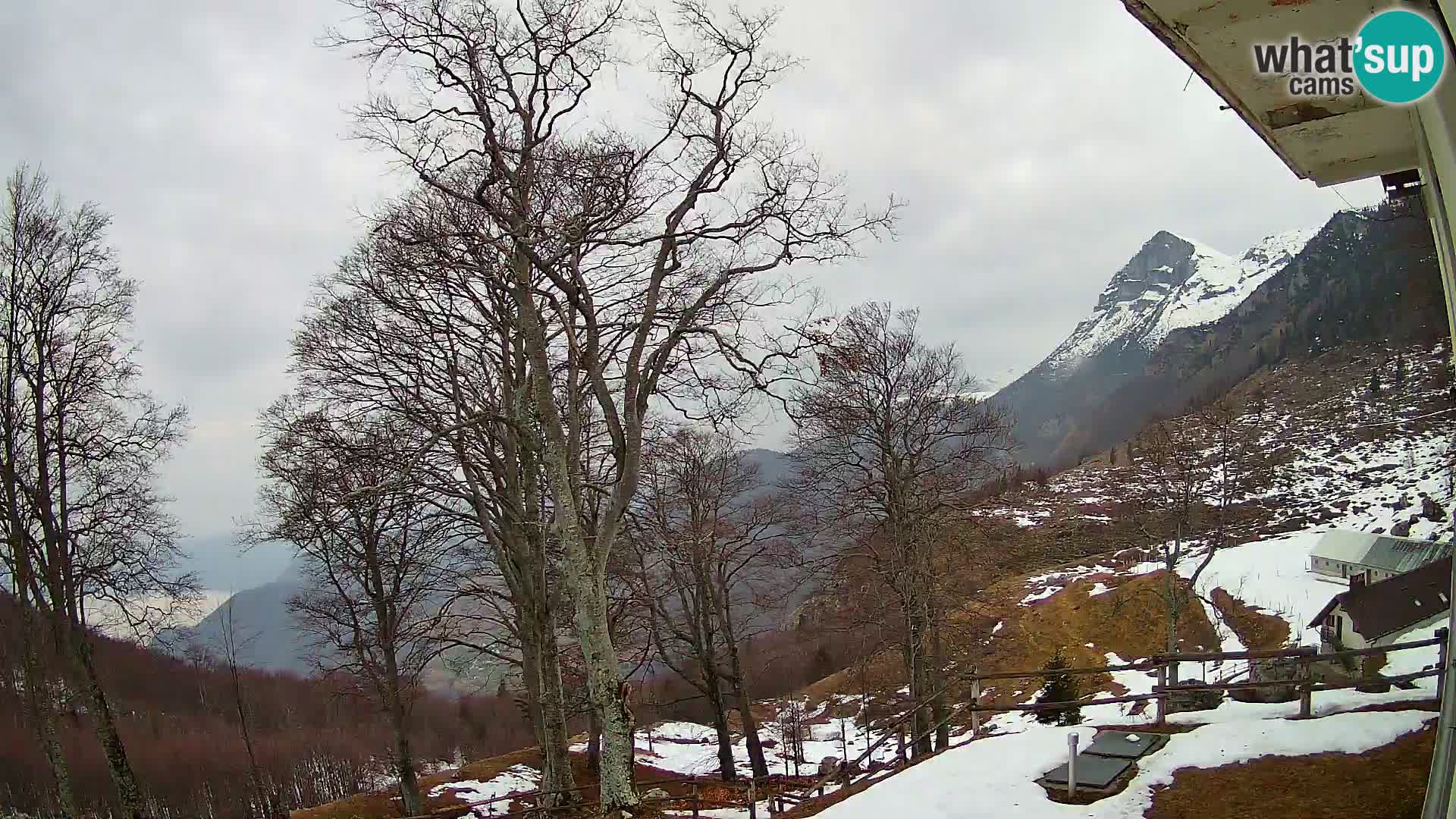 Baita di montagna Planina Razor webcam (1315) | vista su Tolminski Migovec