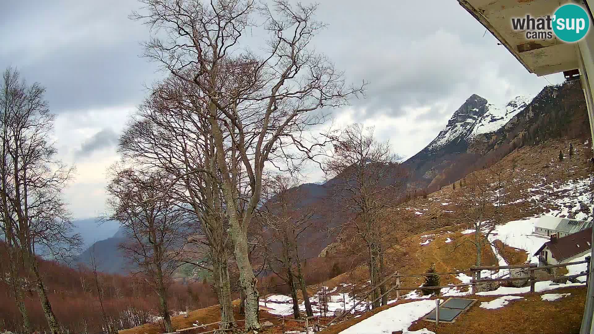 Baita di montagna Planina Razor webcam (1315) | vista su Tolminski Migovec
