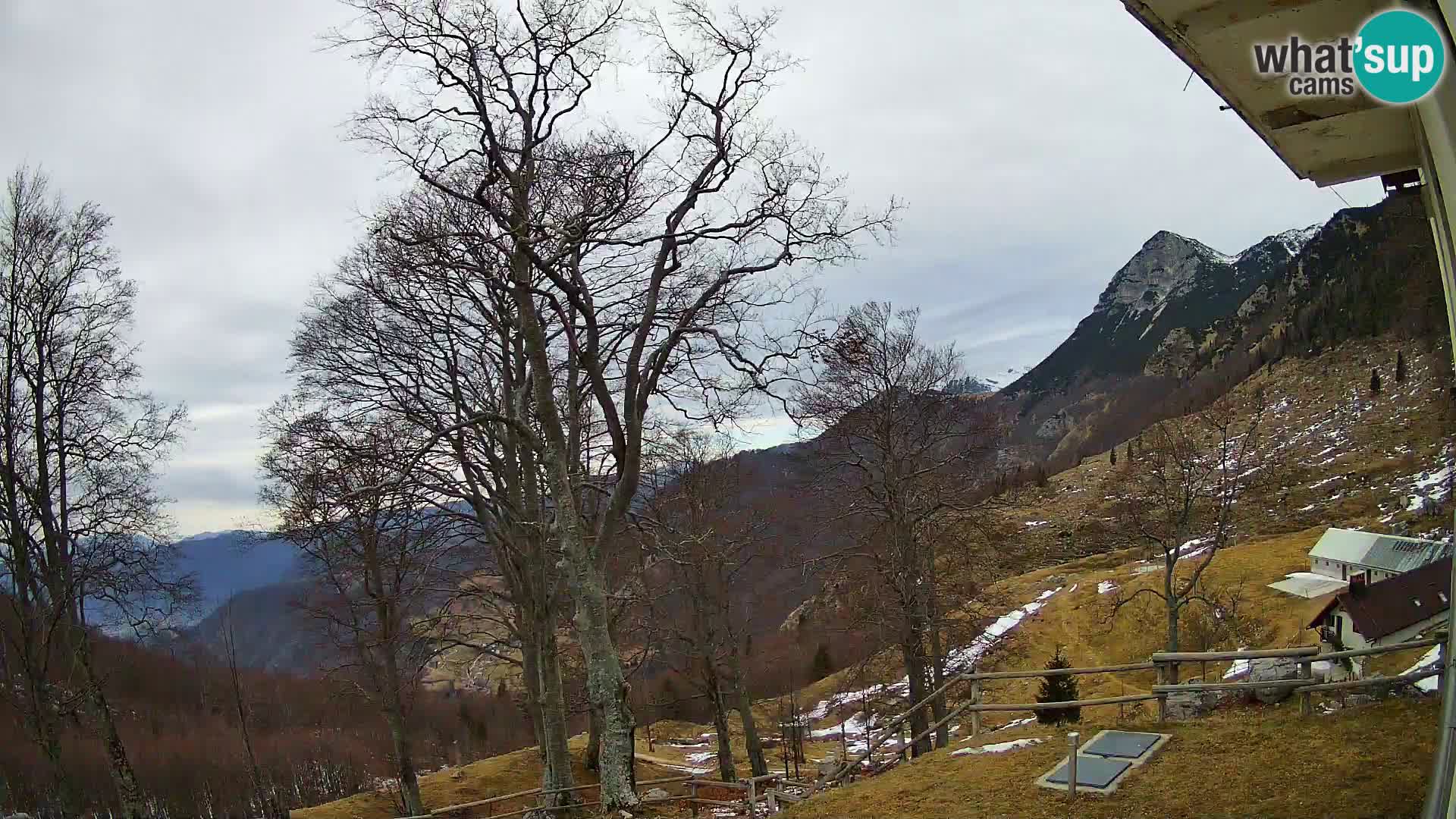 Planina Razor Bergütte Webcam (1315) | Blick auf Tolminski Migovec