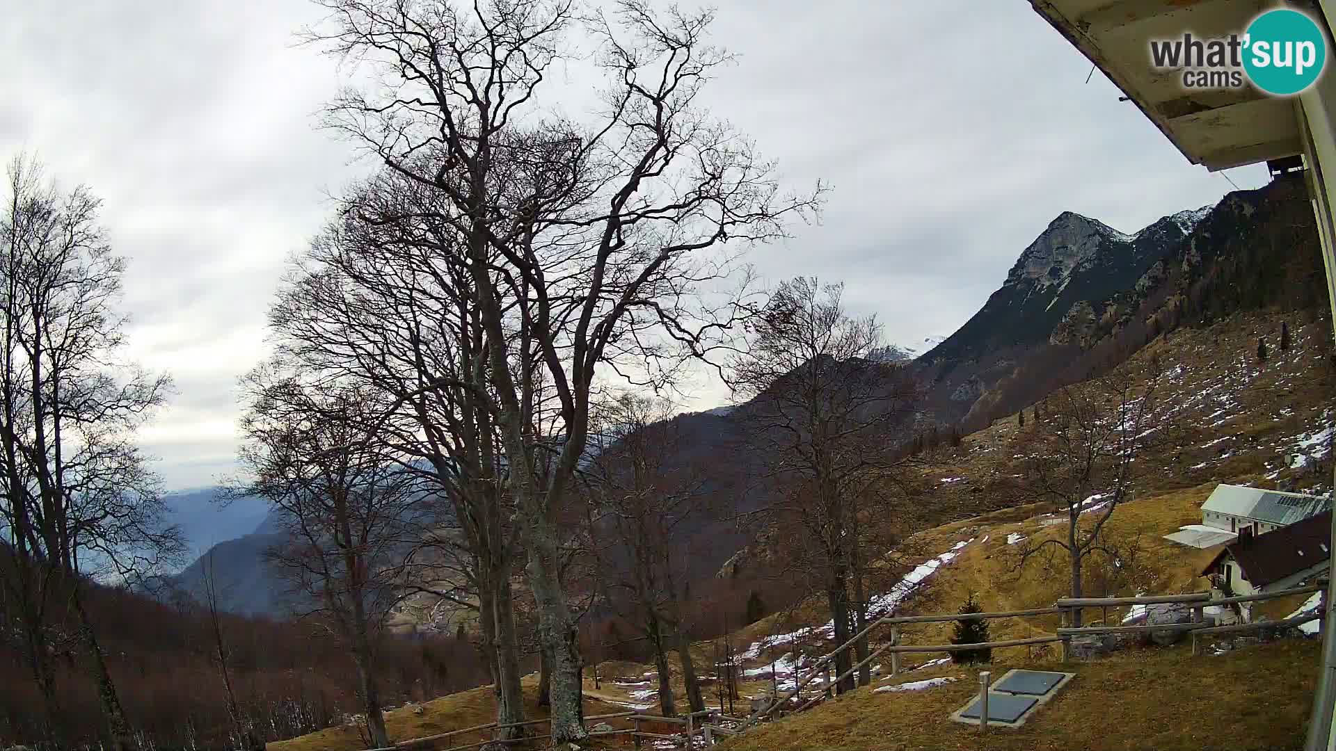 Planina Razor Bergütte Webcam (1315) | Blick auf Tolminski Migovec