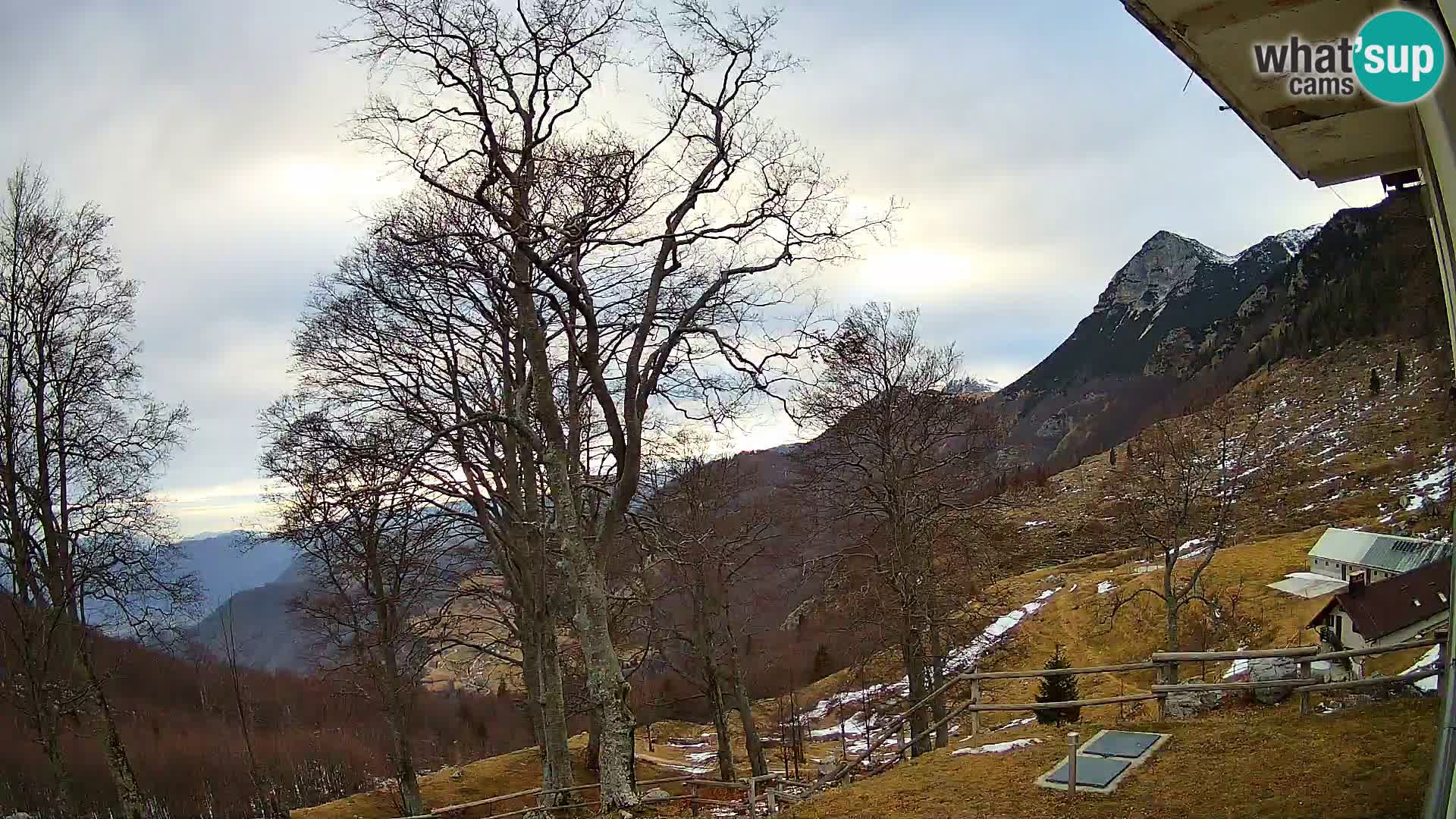 Planina Razor Bergütte Webcam (1315) | Blick auf Tolminski Migovec
