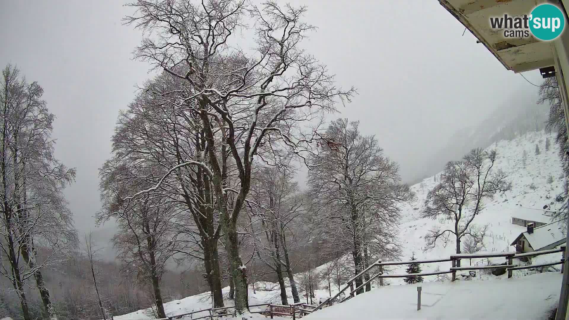 Cámara en vivo de la cabaña de montaña Planina Razor (1315) | vista hacia Tolminski Migovec