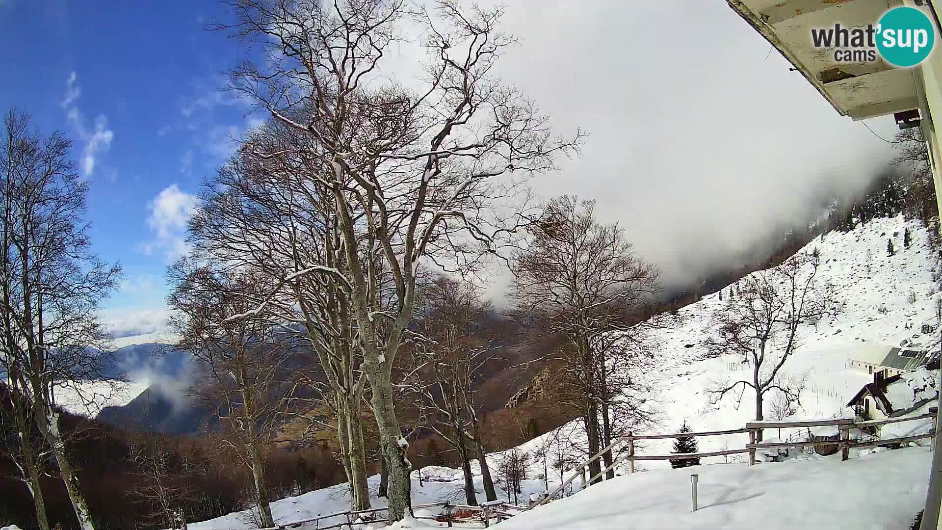 Baita di montagna Planina Razor webcam (1315) | vista su Tolminski Migovec