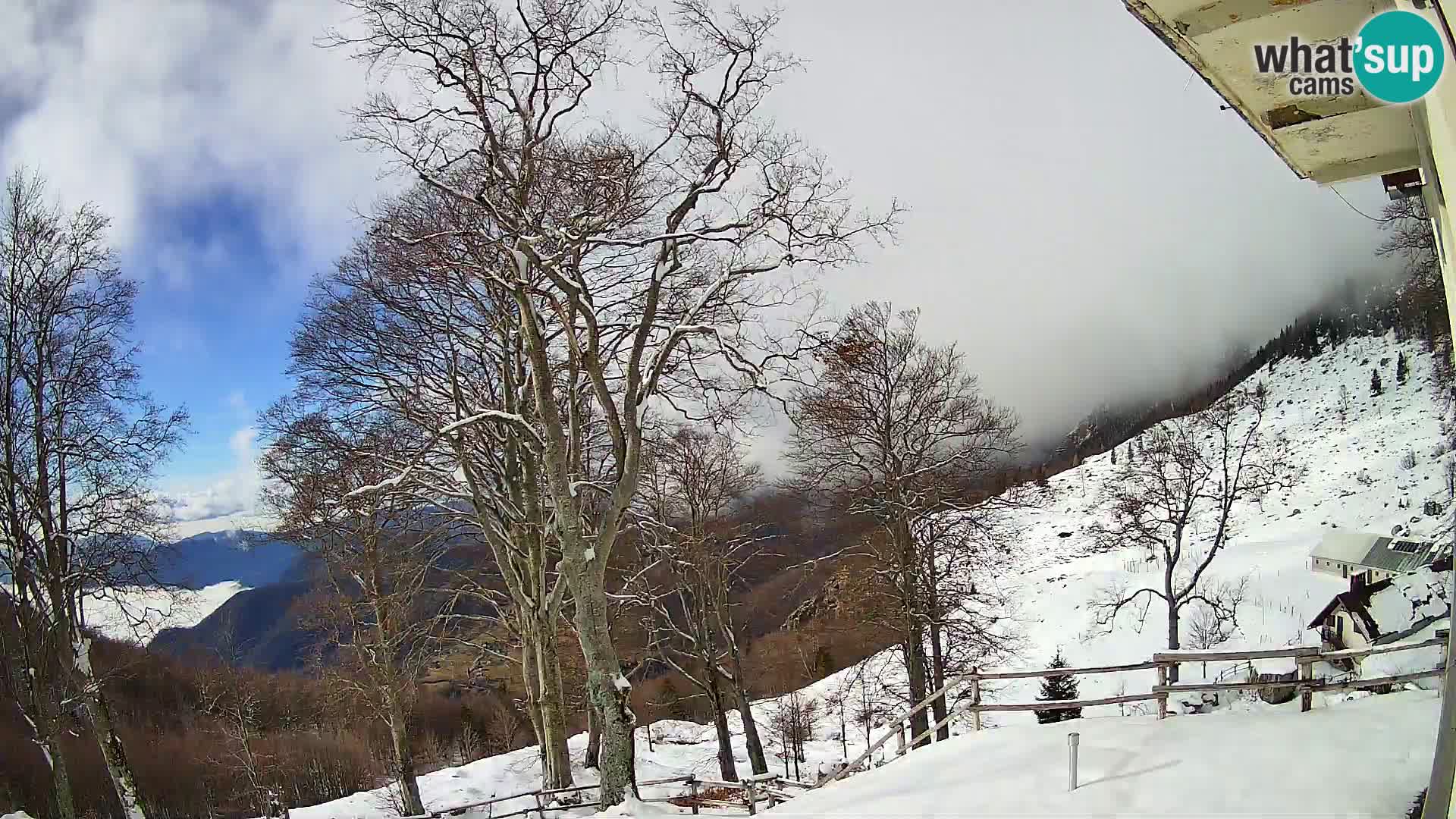 Baita di montagna Planina Razor webcam (1315) | vista su Tolminski Migovec