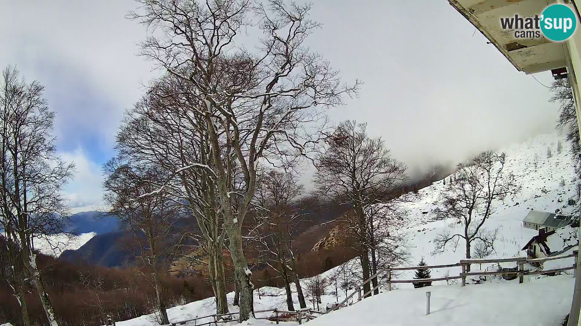 Baita di montagna Planina Razor webcam (1315) | vista su Tolminski Migovec