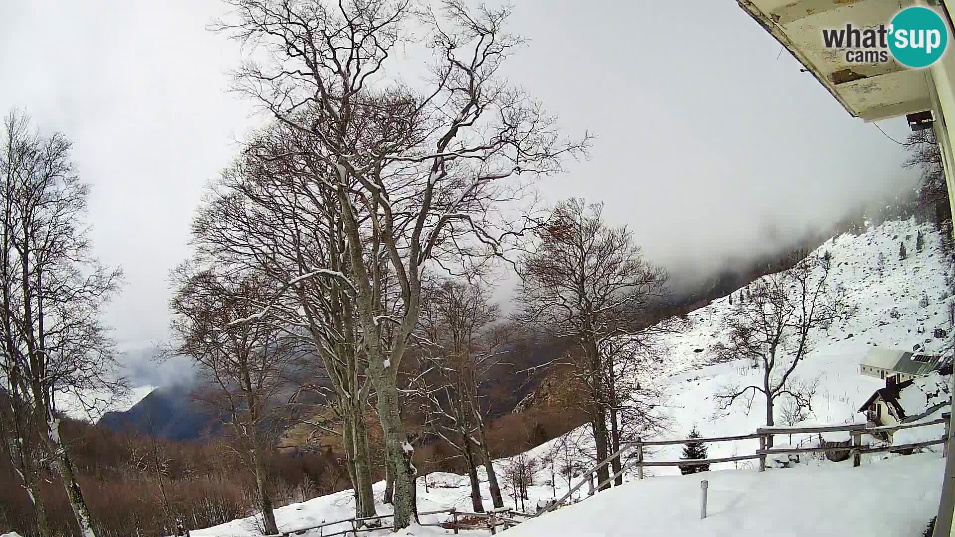 Baita di montagna Planina Razor webcam (1315) | vista su Tolminski Migovec