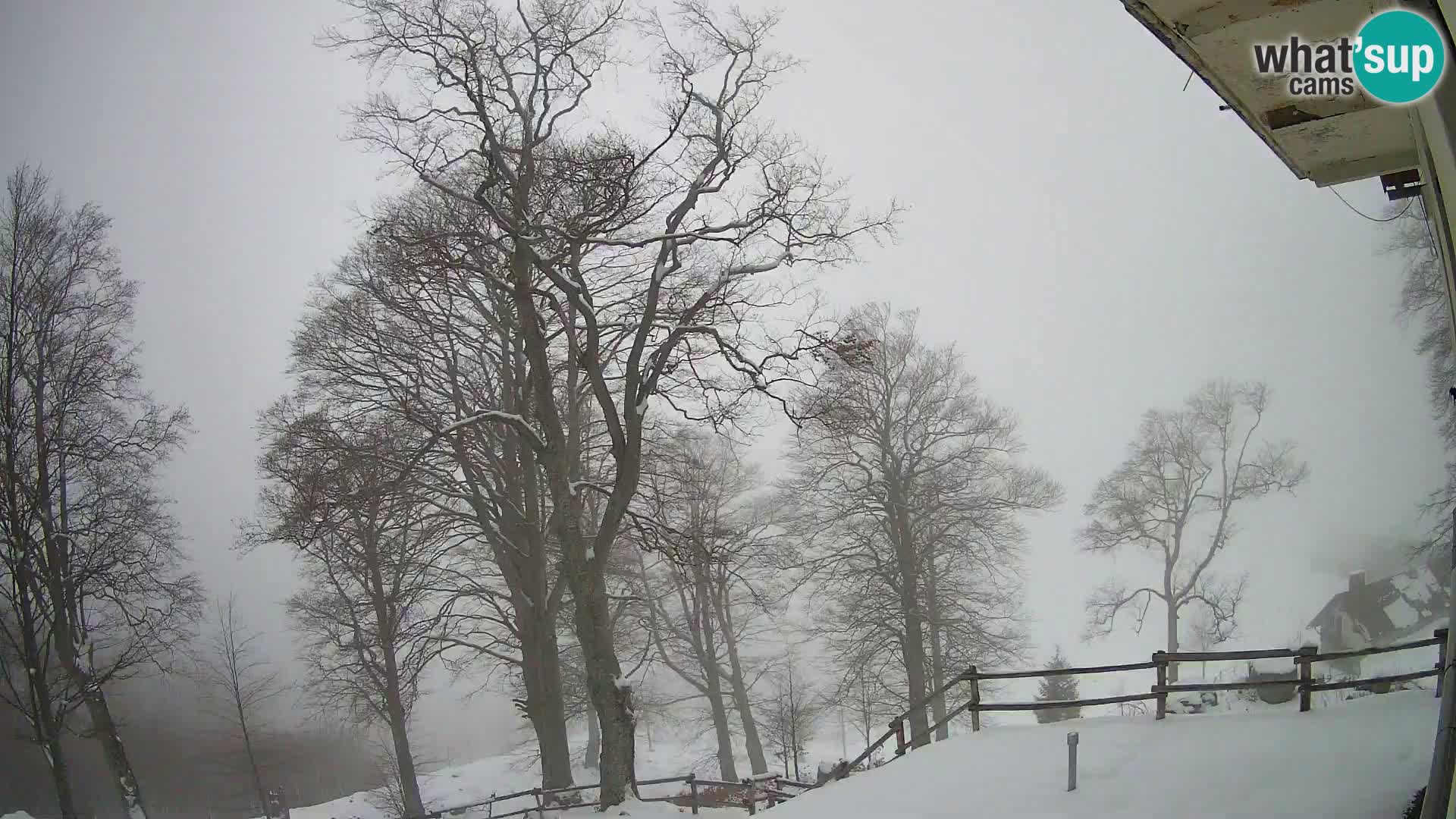 Planina Razor Mountain Hut live cam (1315) | view to Tolminski Migovec