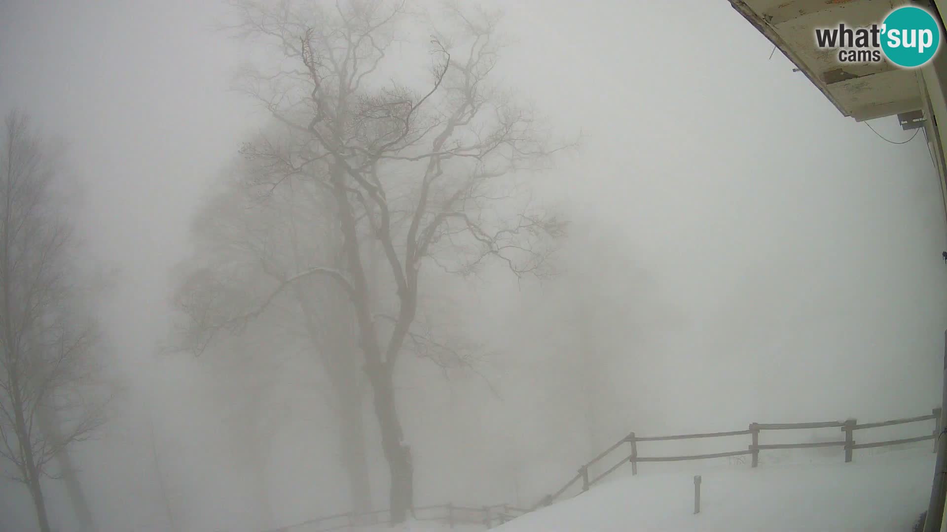 Planinarski dom na planini Razor (1315) | Pogled na Tolminski Migovec