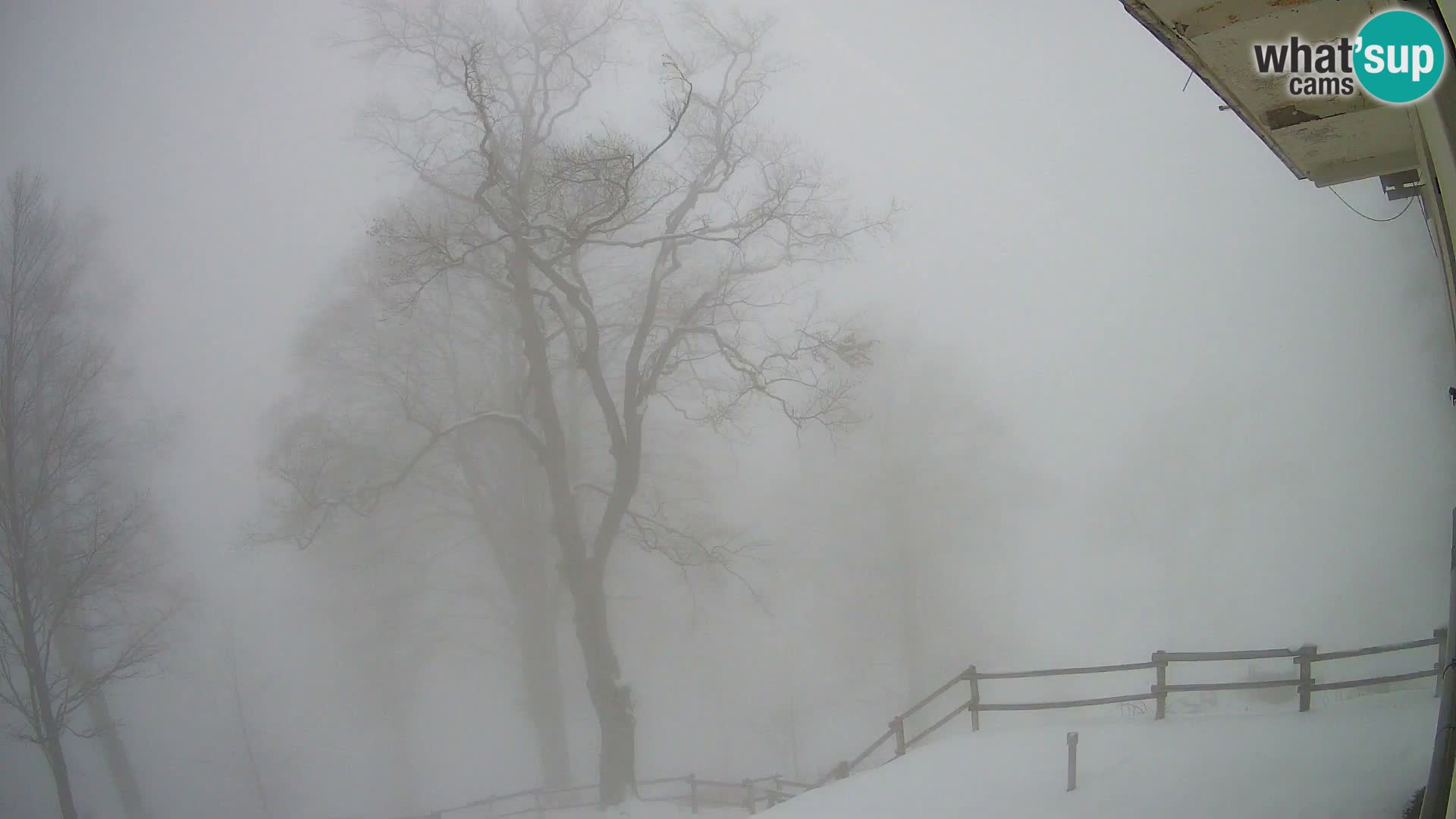 Planina Razor Bergütte Webcam (1315) | Blick auf Tolminski Migovec