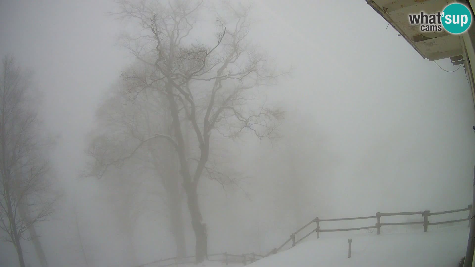 Cámara en vivo de la cabaña de montaña Planina Razor (1315) | vista hacia Tolminski Migovec