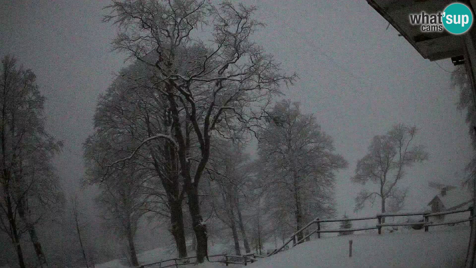 Planina Razor Mountain Hut live cam (1315) | view to Tolminski Migovec