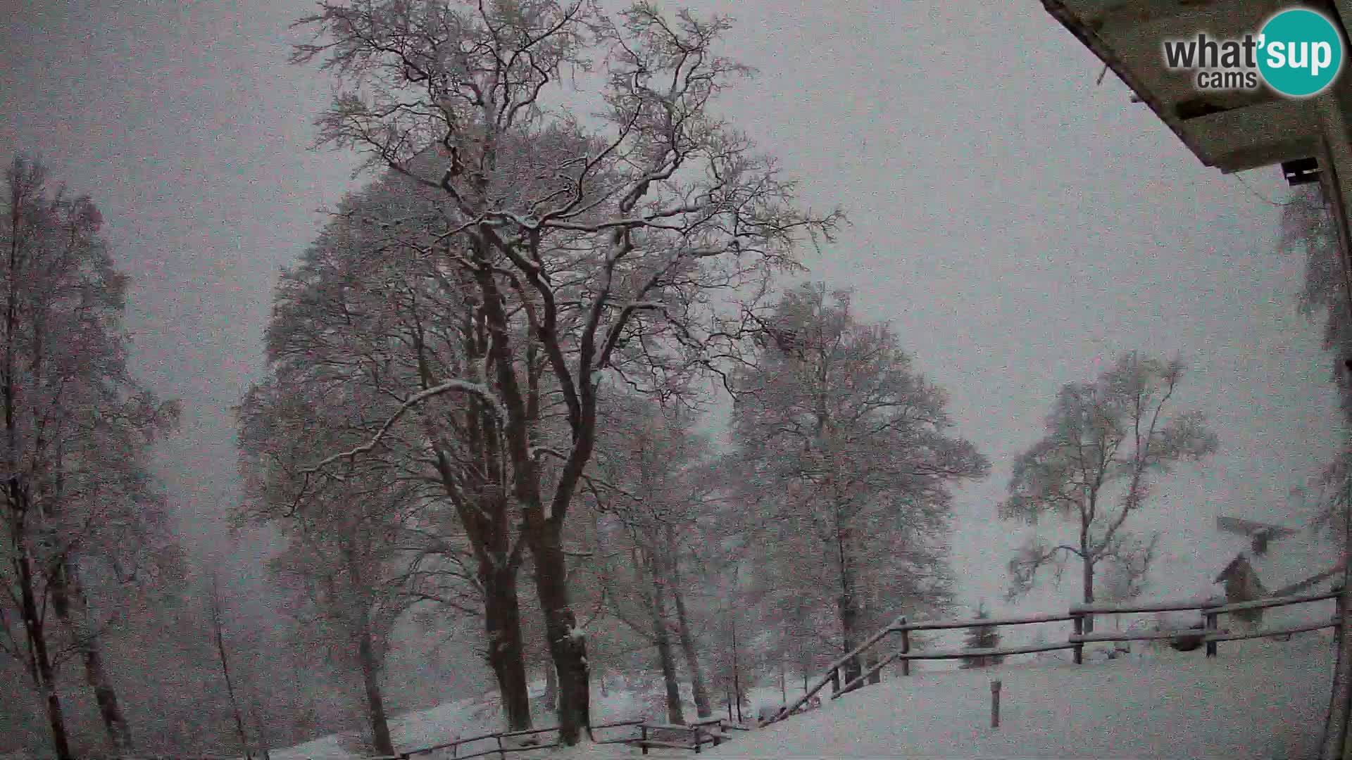 Baita di montagna Planina Razor webcam (1315) | vista su Tolminski Migovec