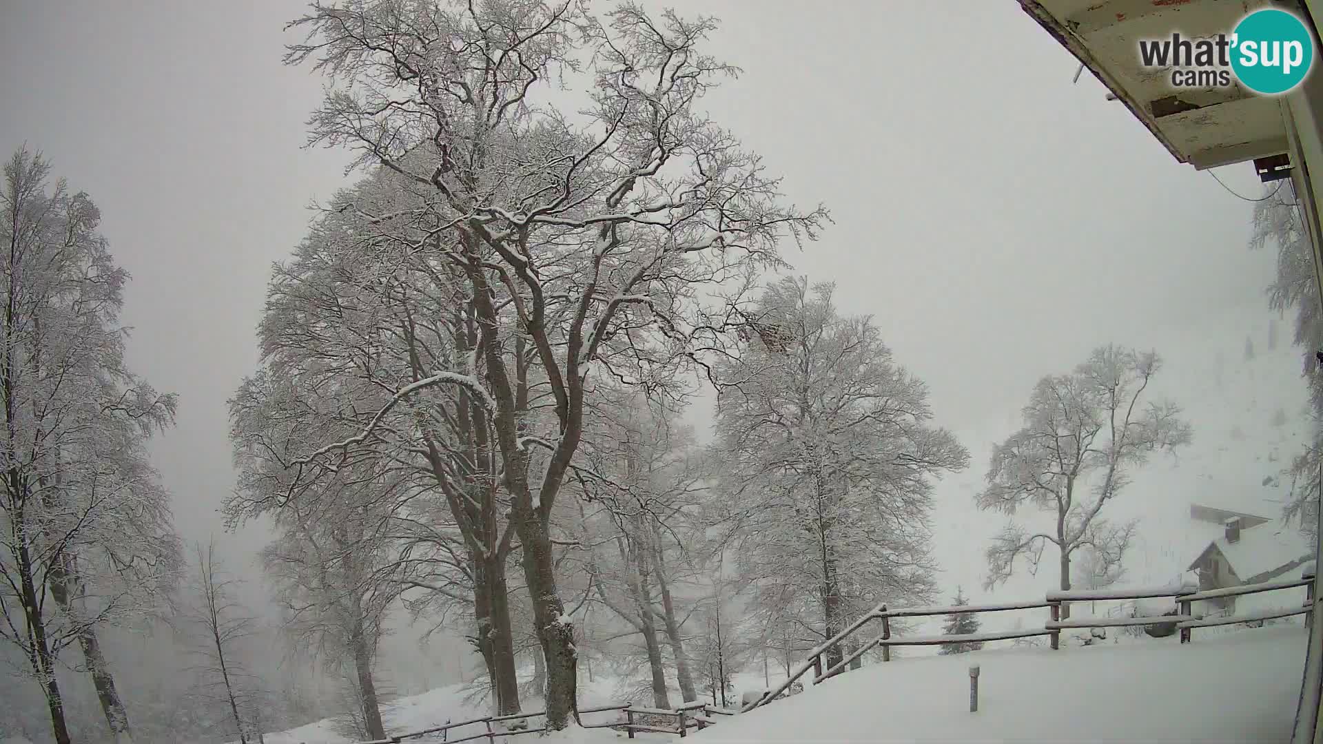 Planina Razor Mountain Hut live cam (1315) | view to Tolminski Migovec