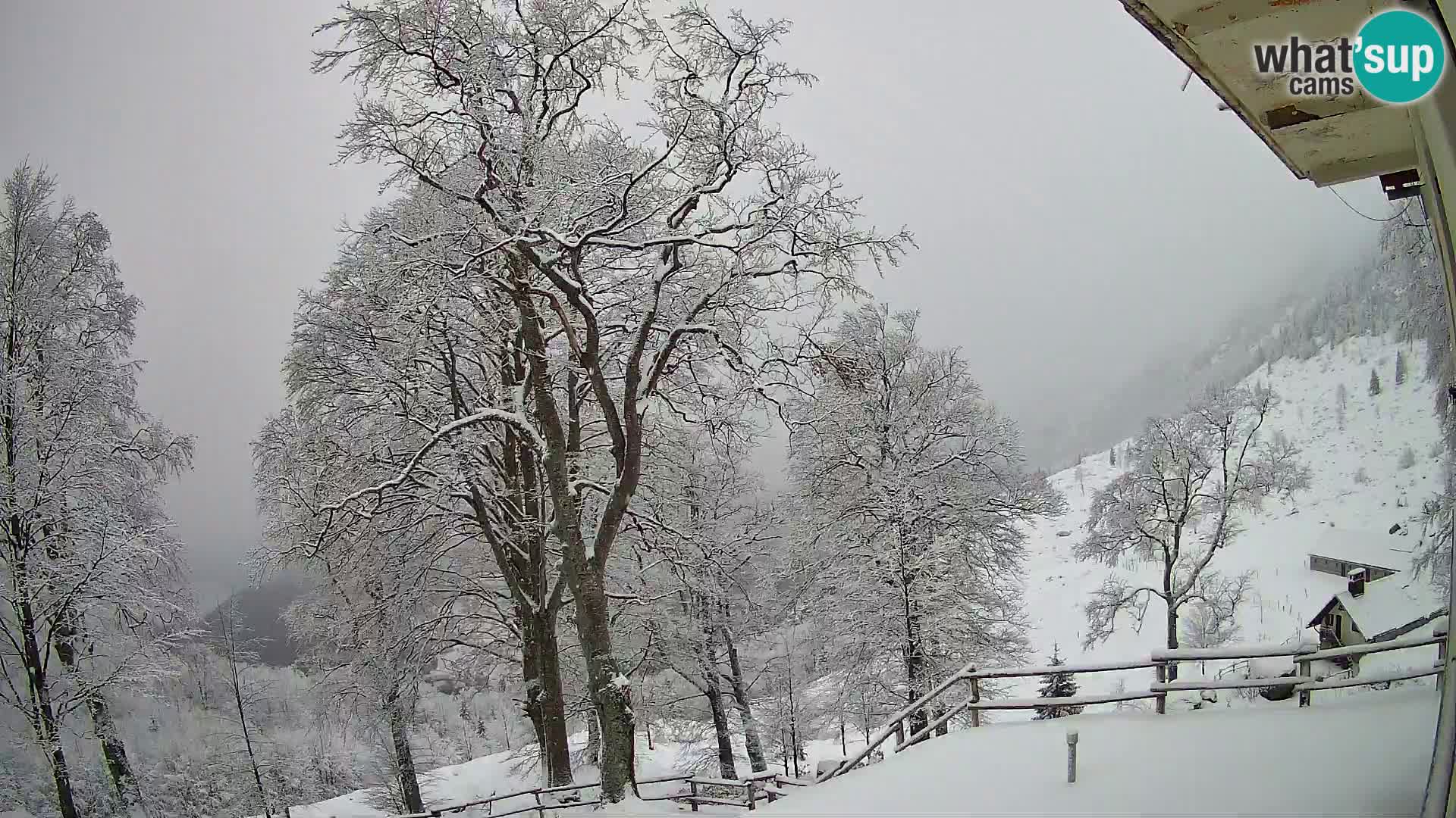 Planina Razor Mountain Hut live cam (1315) | view to Tolminski Migovec