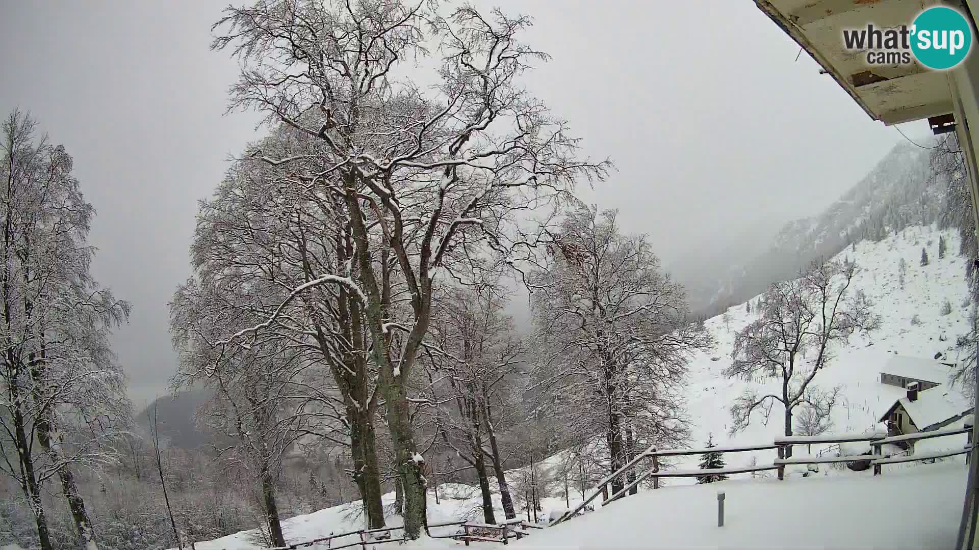 Koča na Planini Razor spletna kamera (1315) | Pogled na Tolminski Migovec