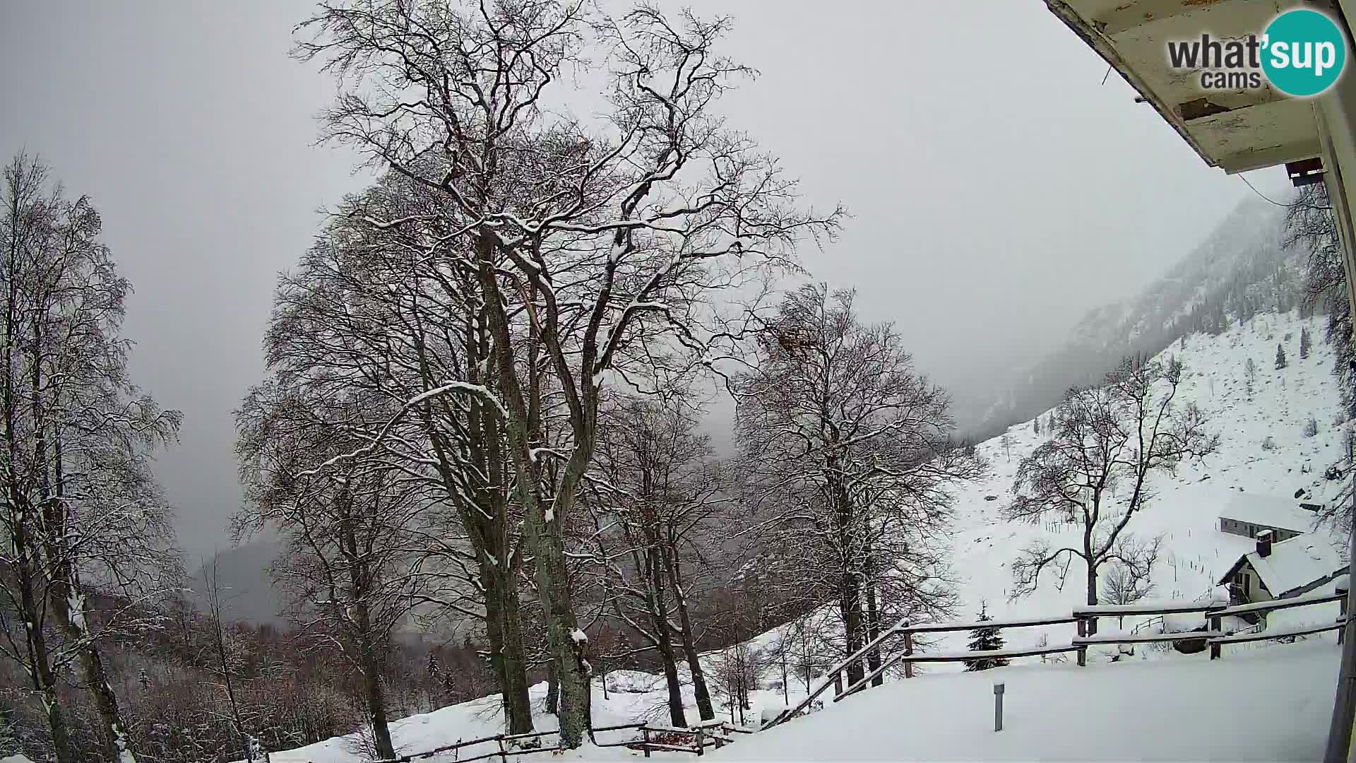 Koča na Planini Razor spletna kamera (1315) | Pogled na Tolminski Migovec