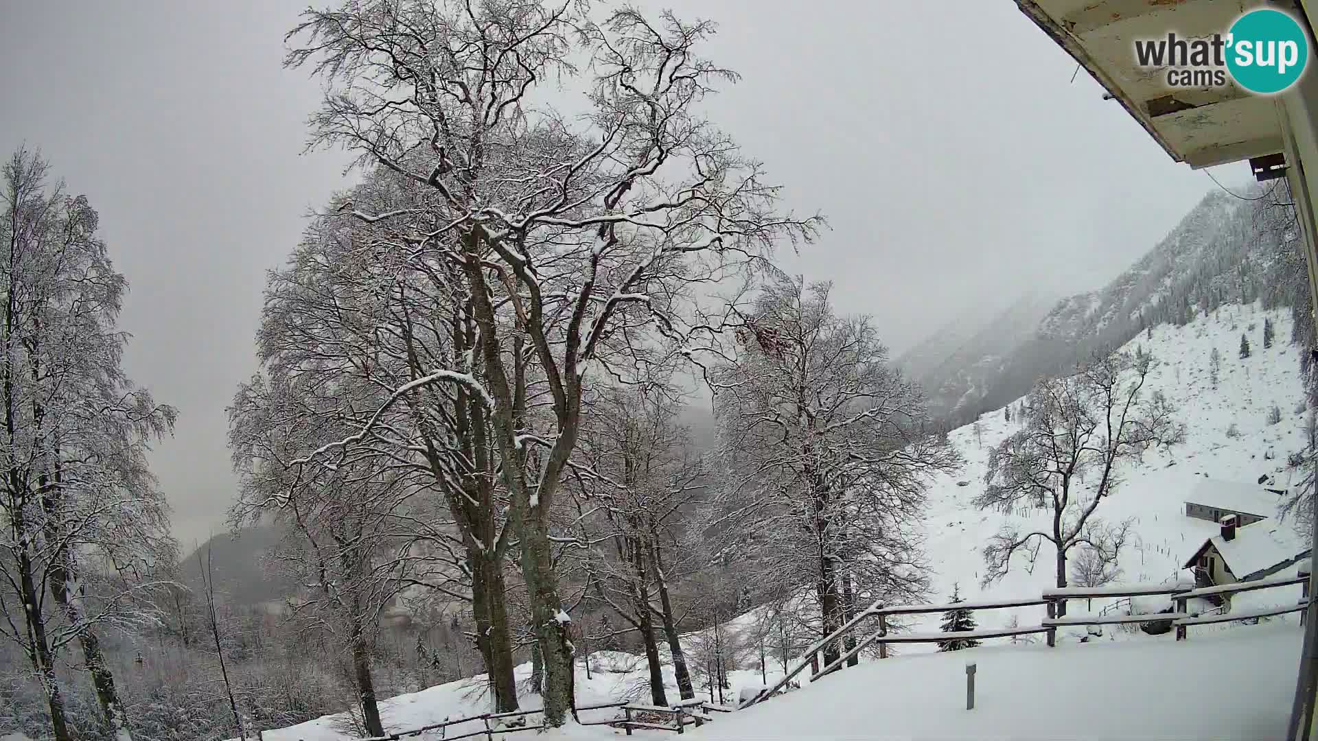 Koča na Planini Razor spletna kamera (1315) | Pogled na Tolminski Migovec