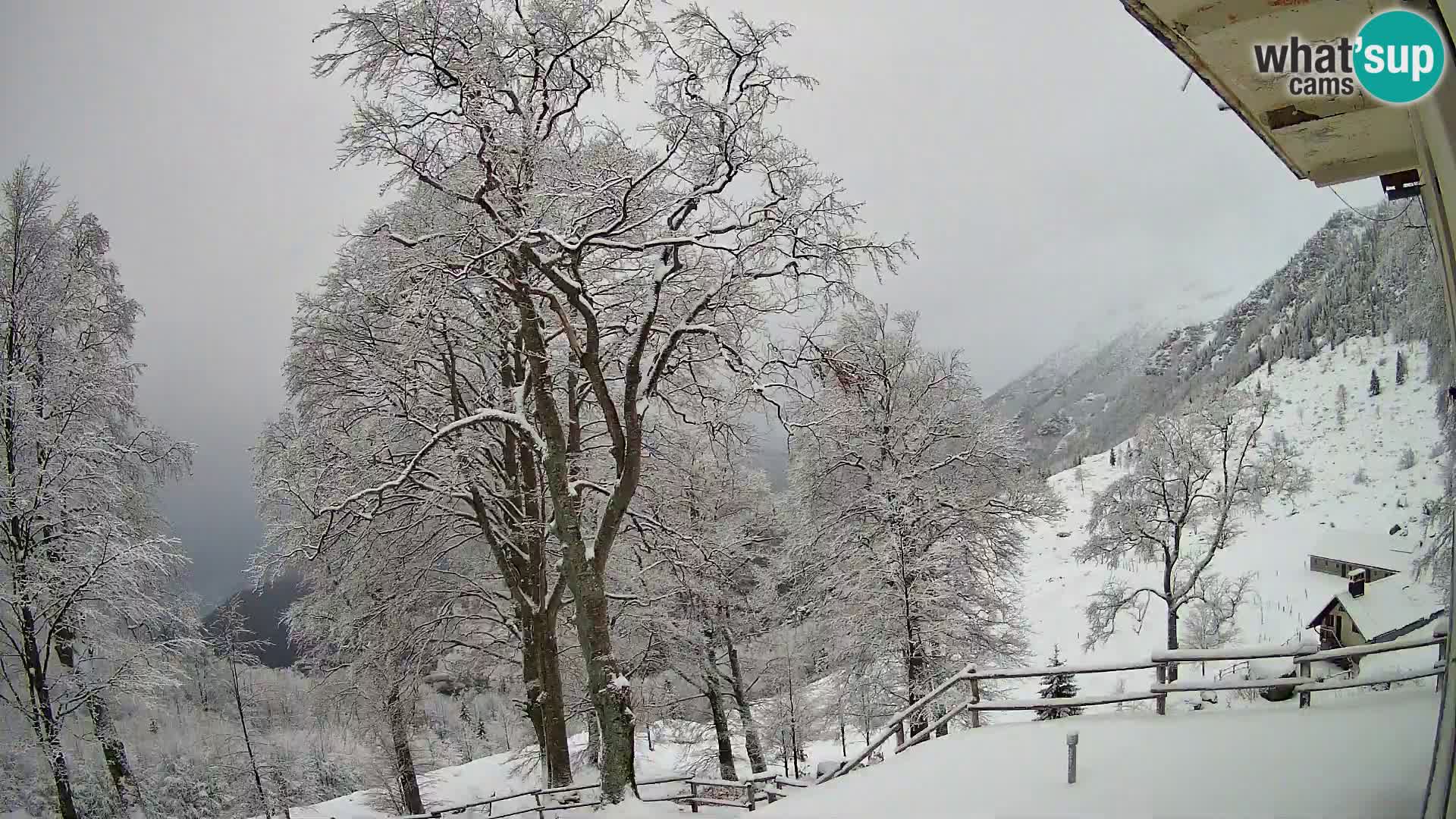 Planina Razor Mountain Hut live cam (1315) | view to Tolminski Migovec