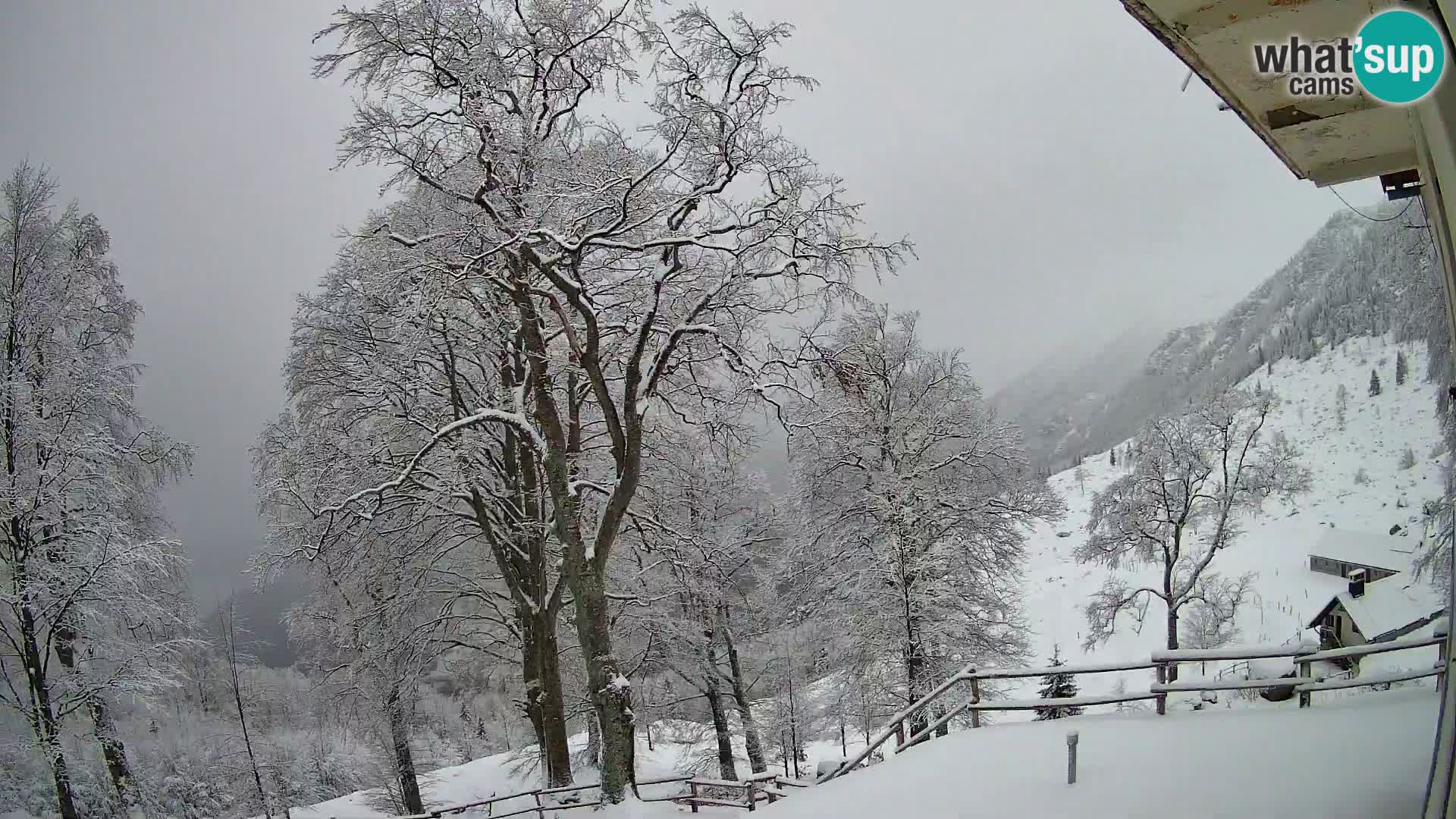 Baita di montagna Planina Razor webcam (1315) | vista su Tolminski Migovec