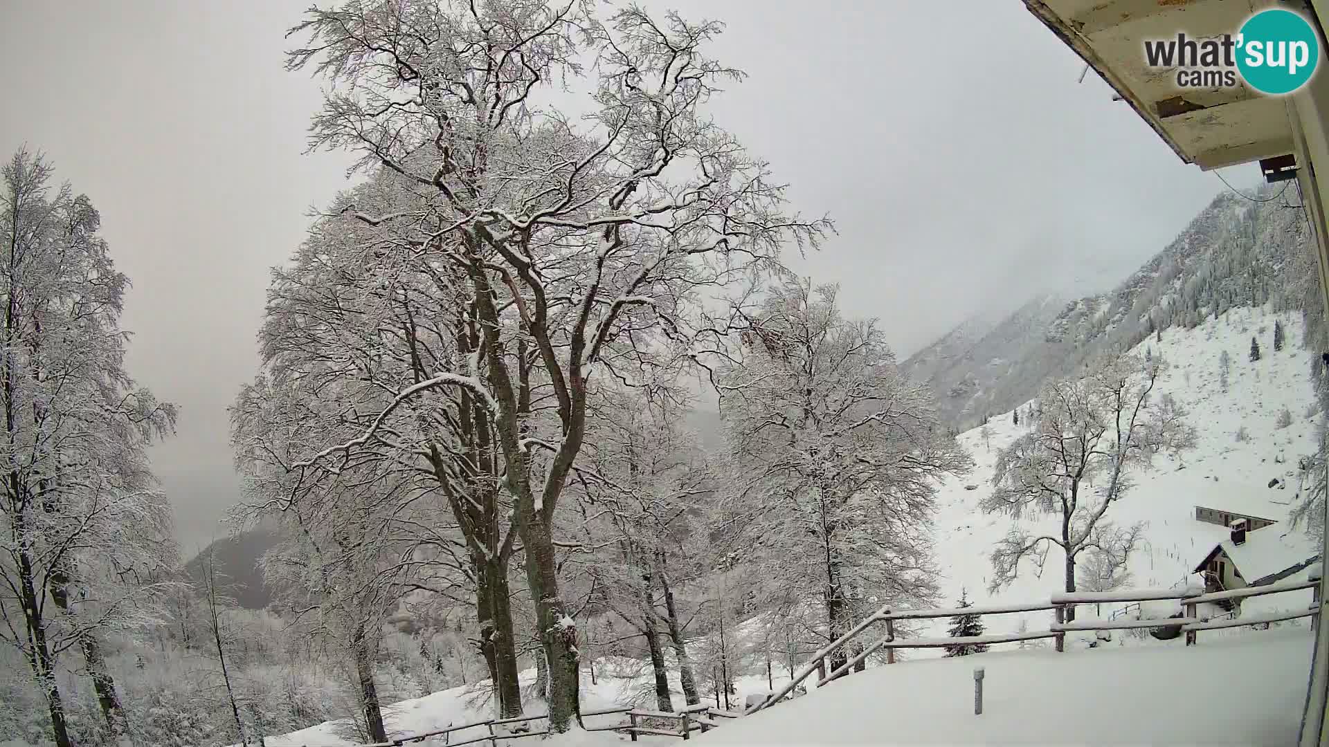 Baita di montagna Planina Razor webcam (1315) | vista su Tolminski Migovec