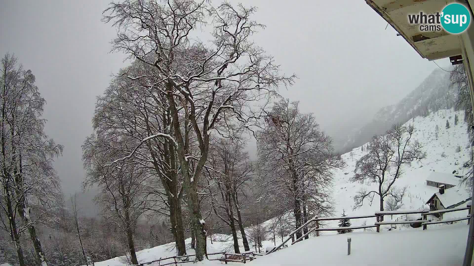 Planina Razor Mountain Hut live cam (1315) | view to Tolminski Migovec