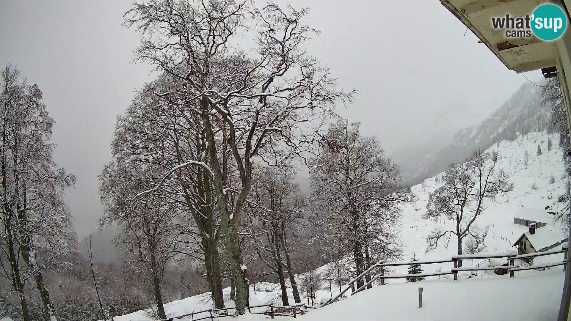 Planina Razor Mountain Hut live cam (1315) | view to Tolminski Migovec