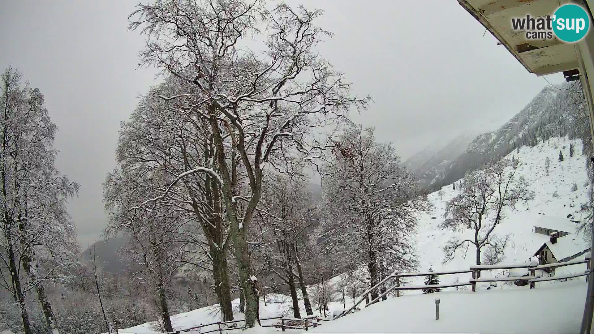 Planina Razor Mountain Hut live cam (1315) | view to Tolminski Migovec