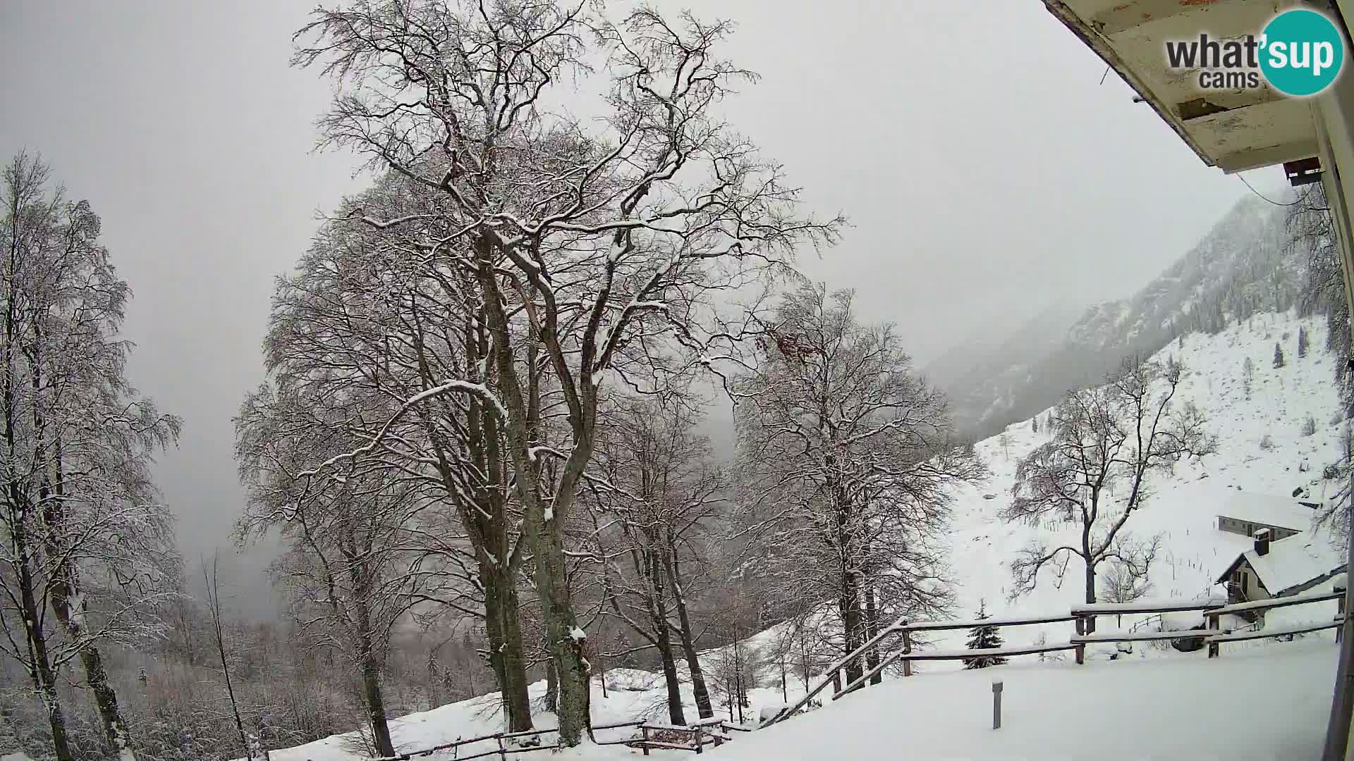 Planina Razor Mountain Hut live cam (1315) | view to Tolminski Migovec