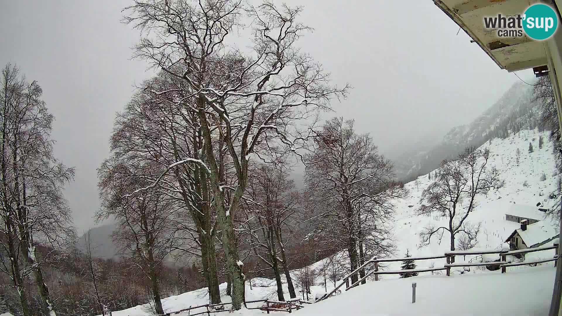 Refuge de la montagne Planina Razor caméra en direct (1315) | vue sur Tolminski Migovec