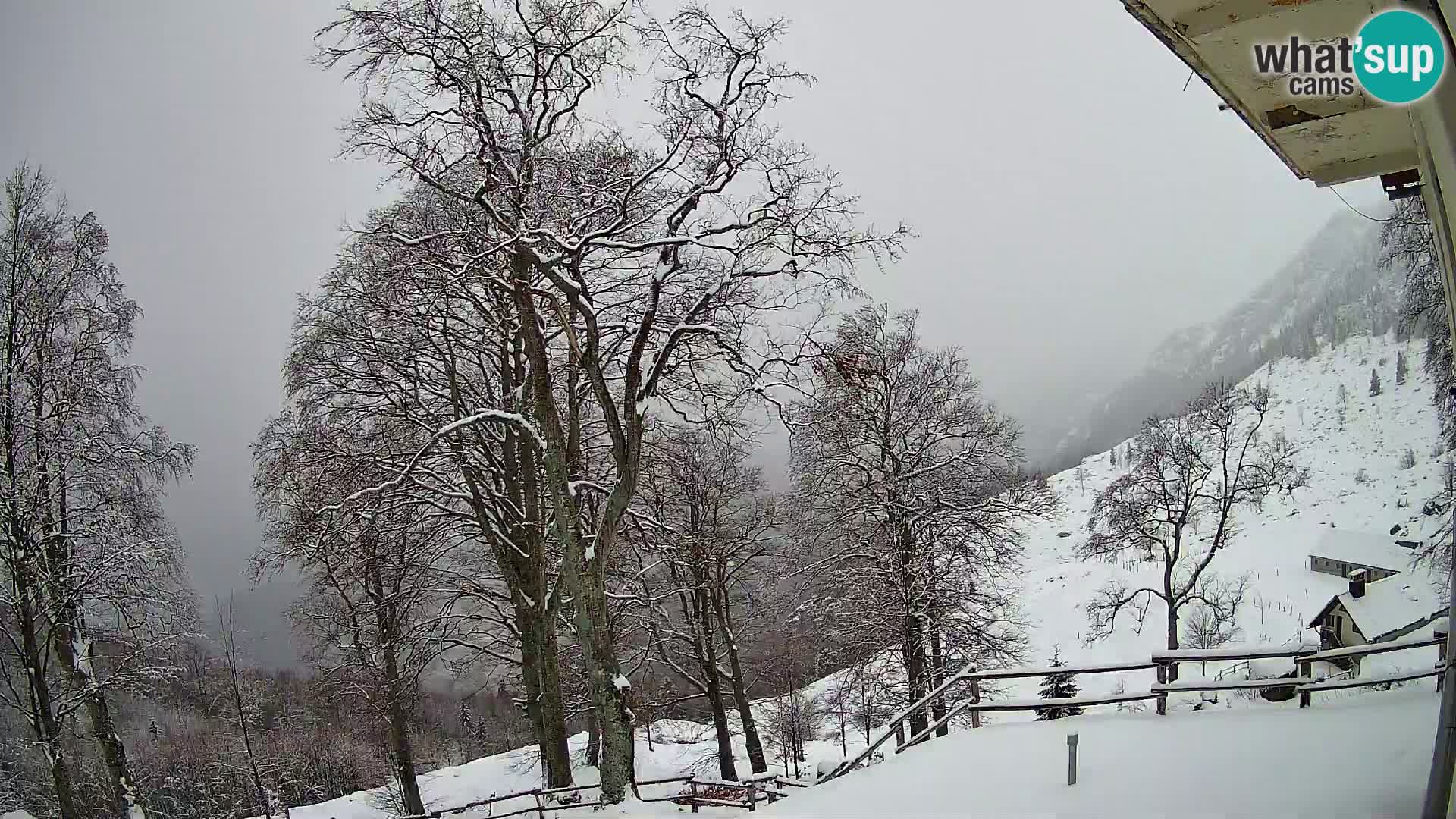 Refuge de la montagne Planina Razor caméra en direct (1315) | vue sur Tolminski Migovec