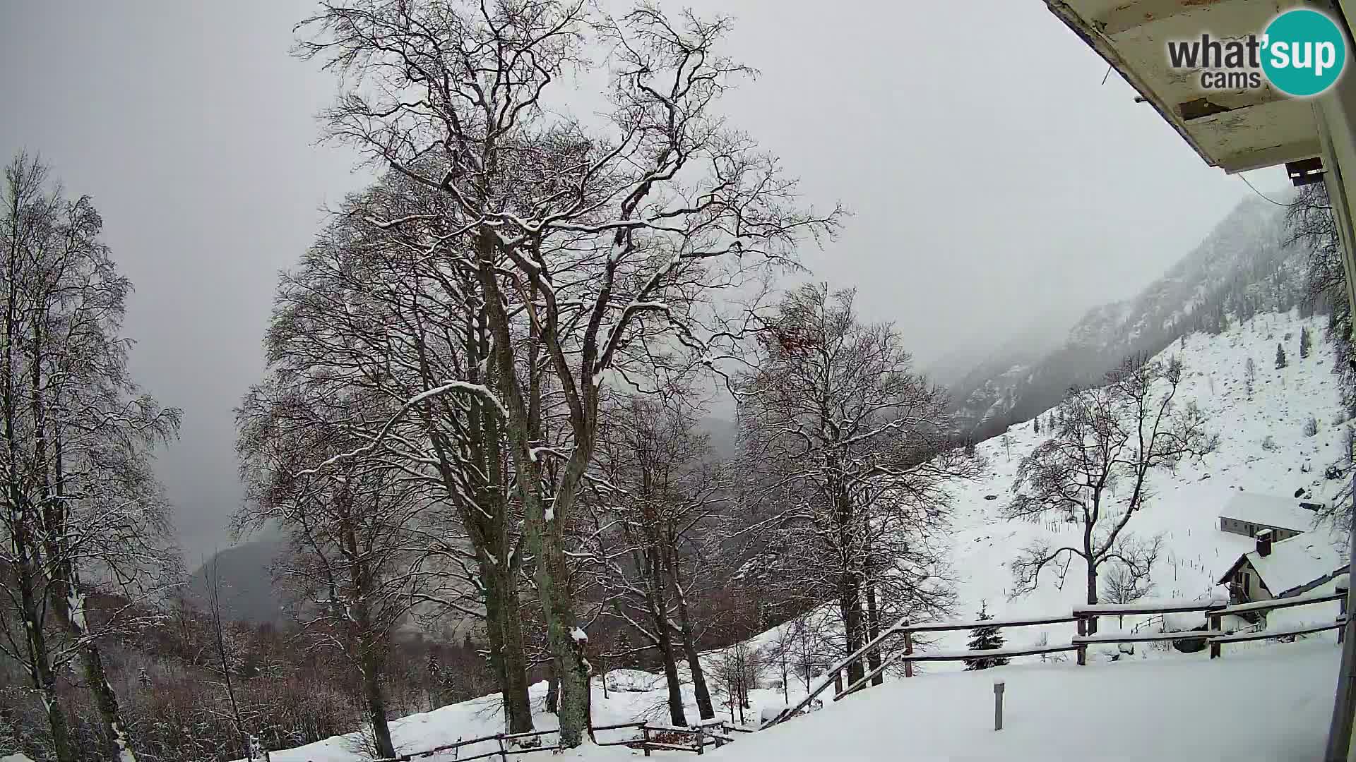 Cámara en vivo de la cabaña de montaña Planina Razor (1315) | vista hacia Tolminski Migovec