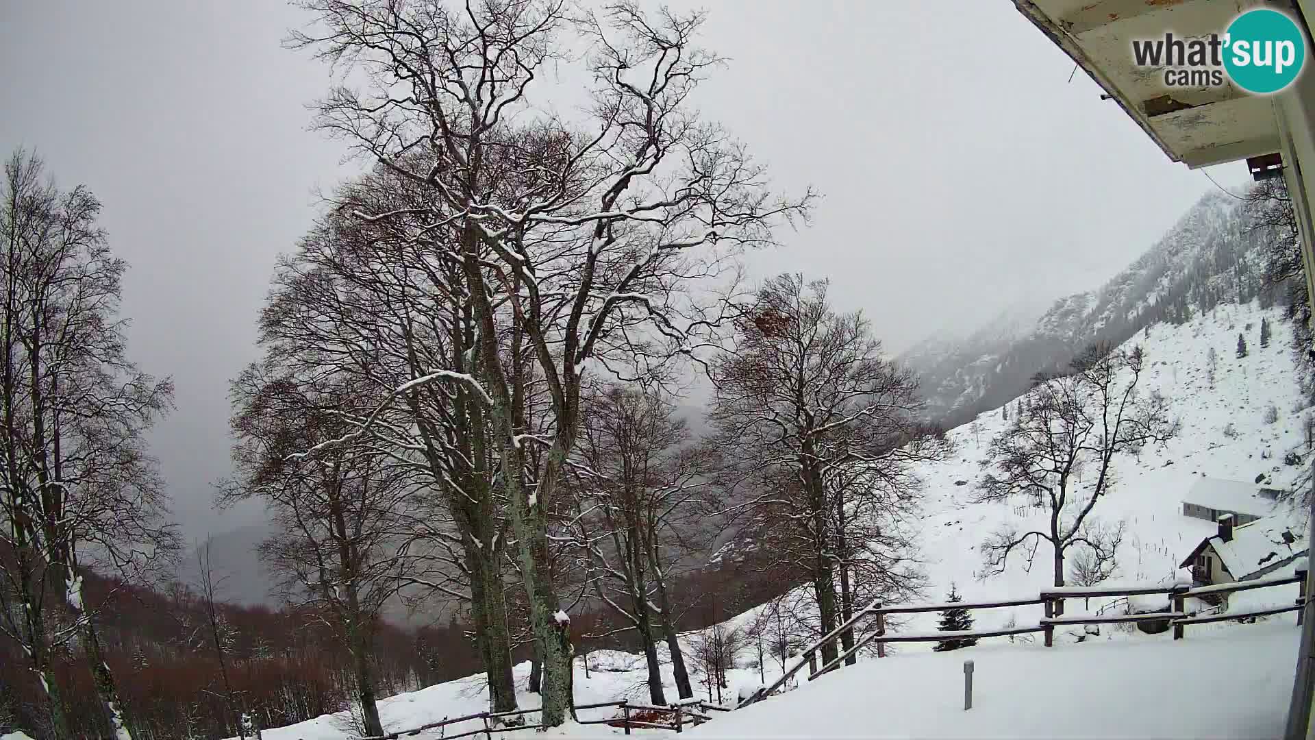 Planina Razor Mountain Hut live cam (1315) | view to Tolminski Migovec