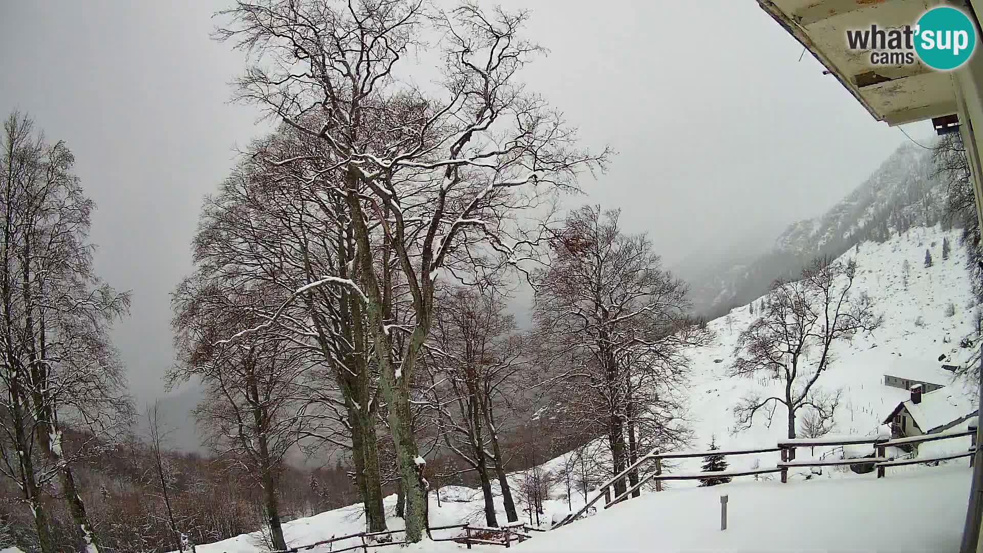 Planina Razor Mountain Hut live cam (1315) | view to Tolminski Migovec