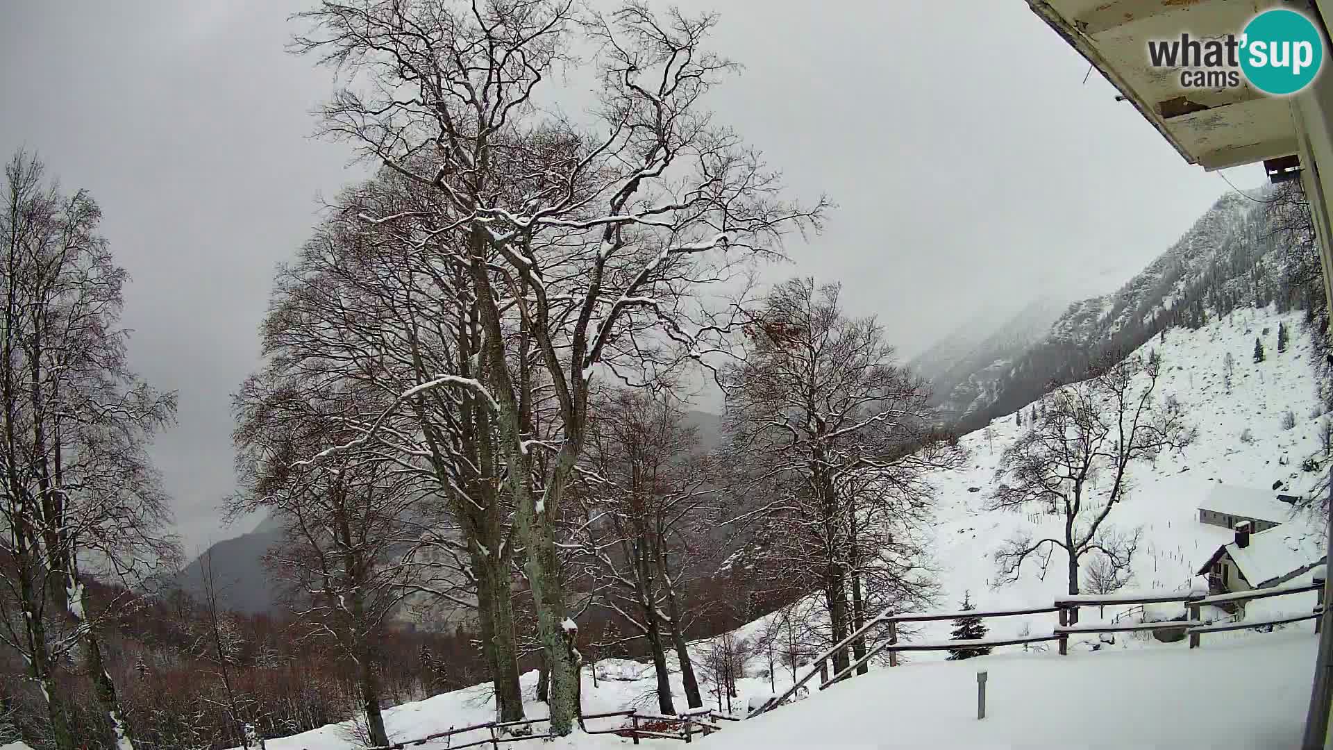 Planina Razor Mountain Hut live cam (1315) | view to Tolminski Migovec