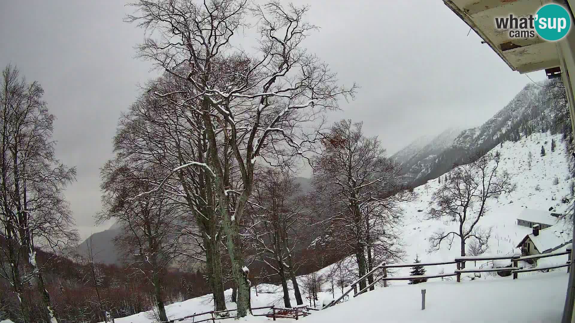 Baita di montagna Planina Razor webcam (1315) | vista su Tolminski Migovec
