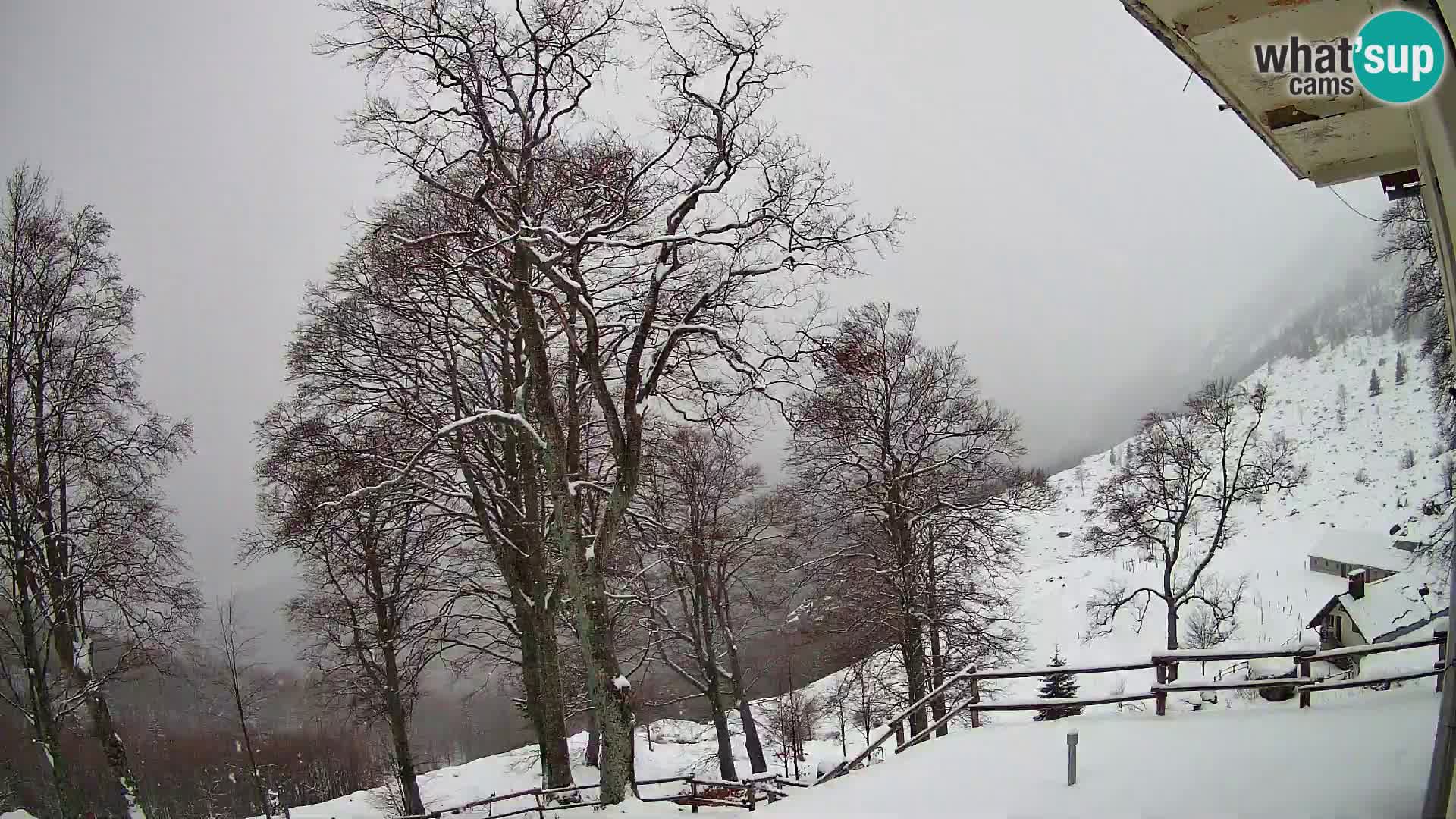 Cámara en vivo de la cabaña de montaña Planina Razor (1315) | vista hacia Tolminski Migovec